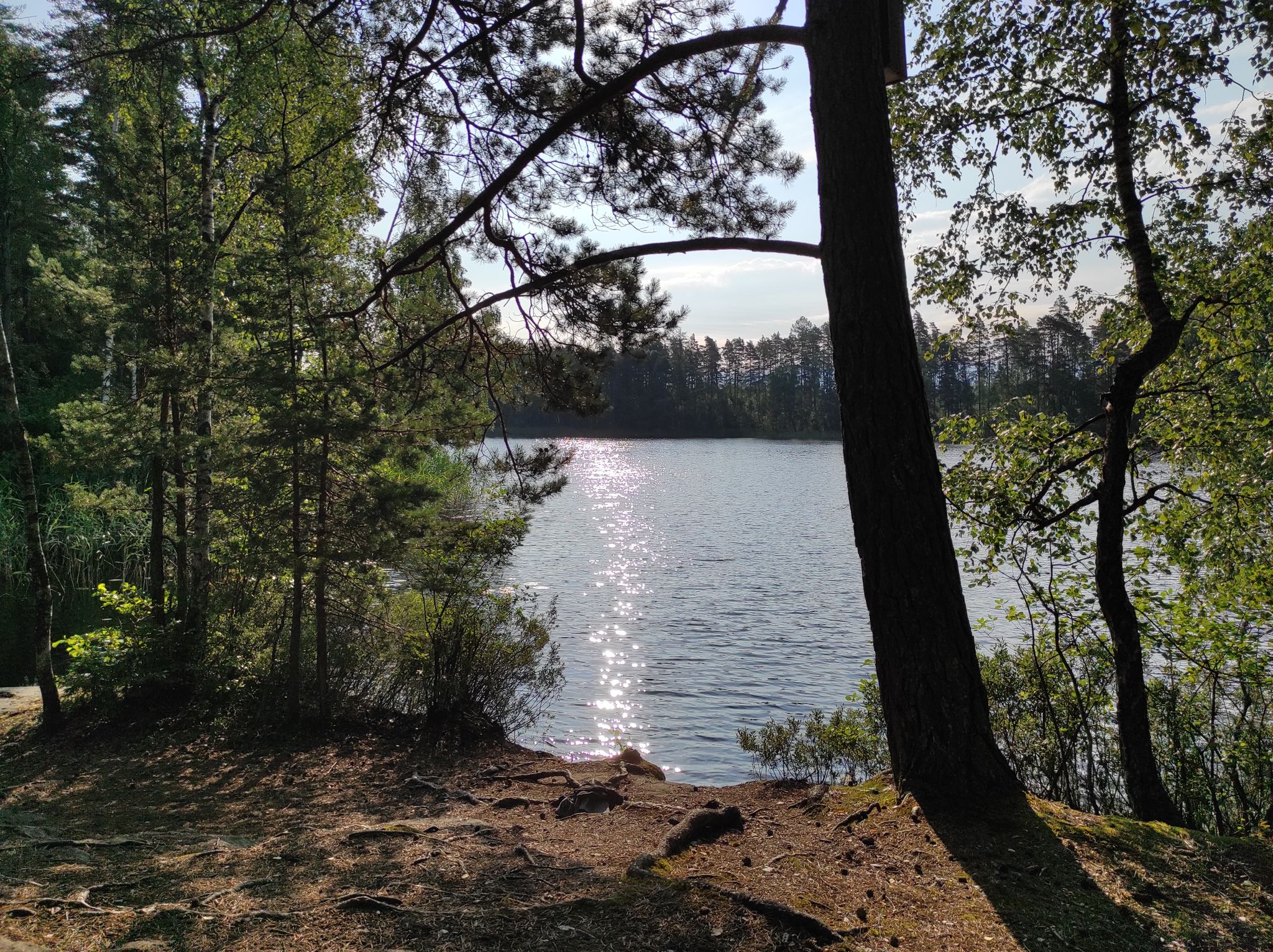 And of course a nice lake for an evening swim :D