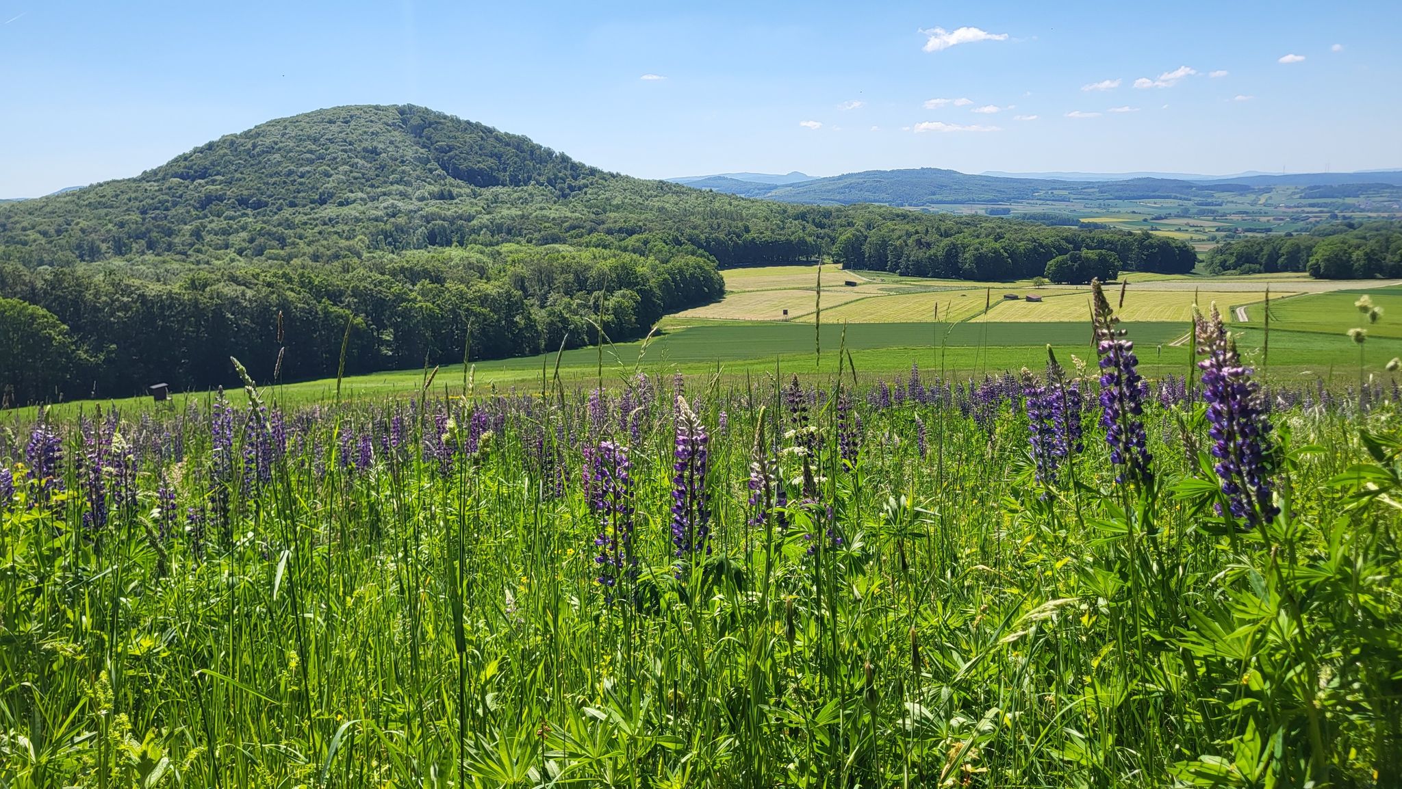 Schöner Blick auf den Appelsberg 