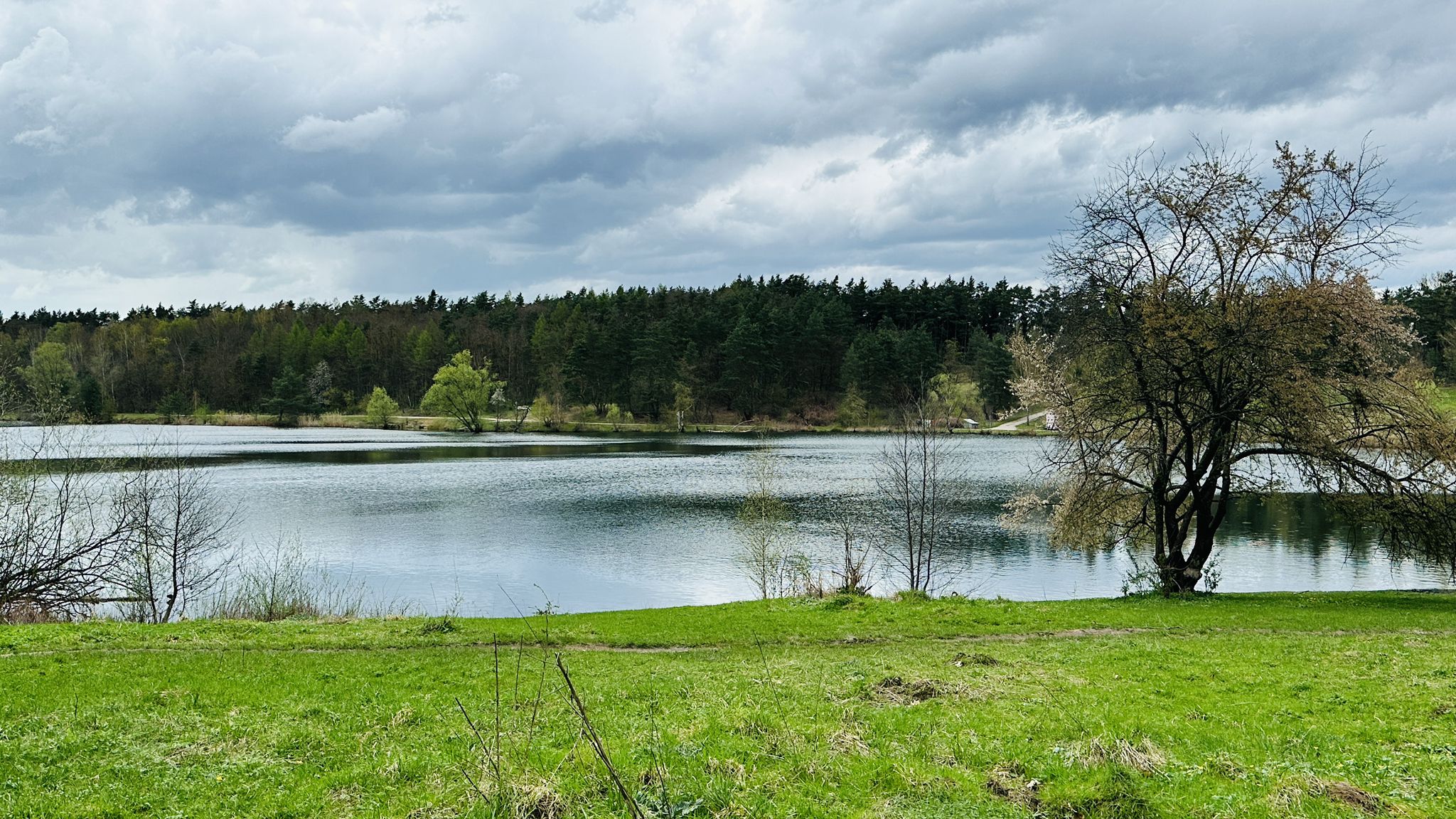 Am Birkensee
