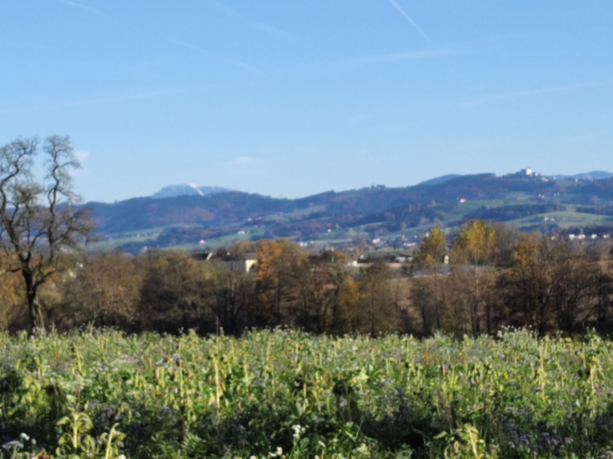 schneebedeckt der Ötscher...rechts Sonntagberg