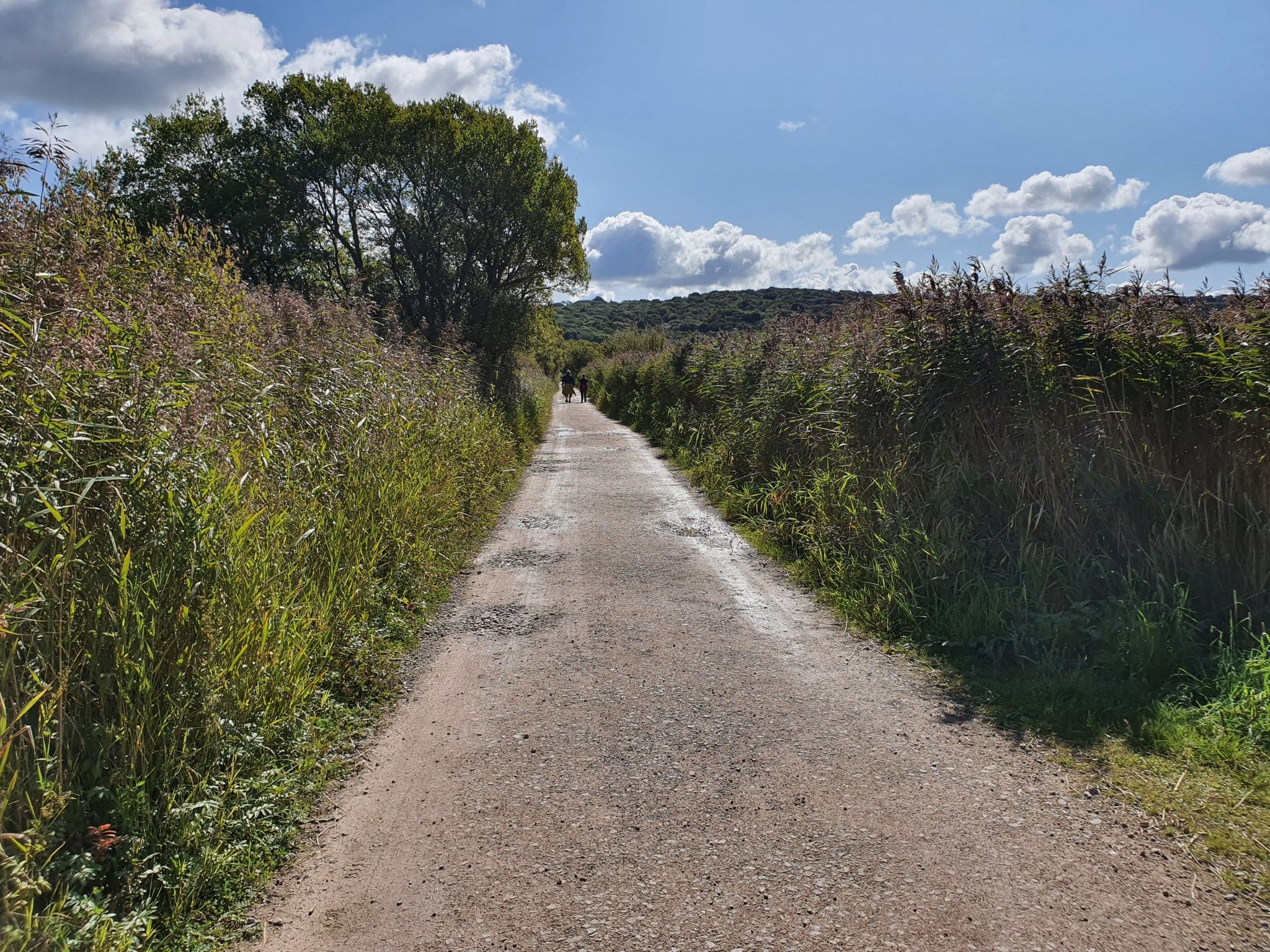 Walk to lower hide