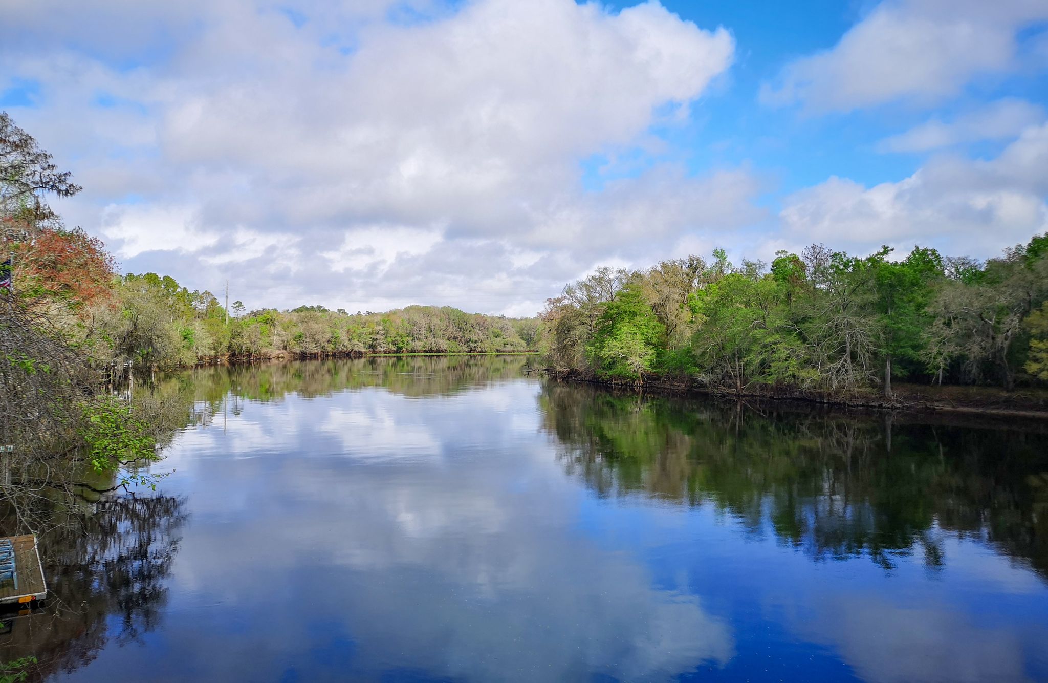 Calm river reflecting blue sky and white clouds, surrounded by green trees. - Nature Coast State Trail