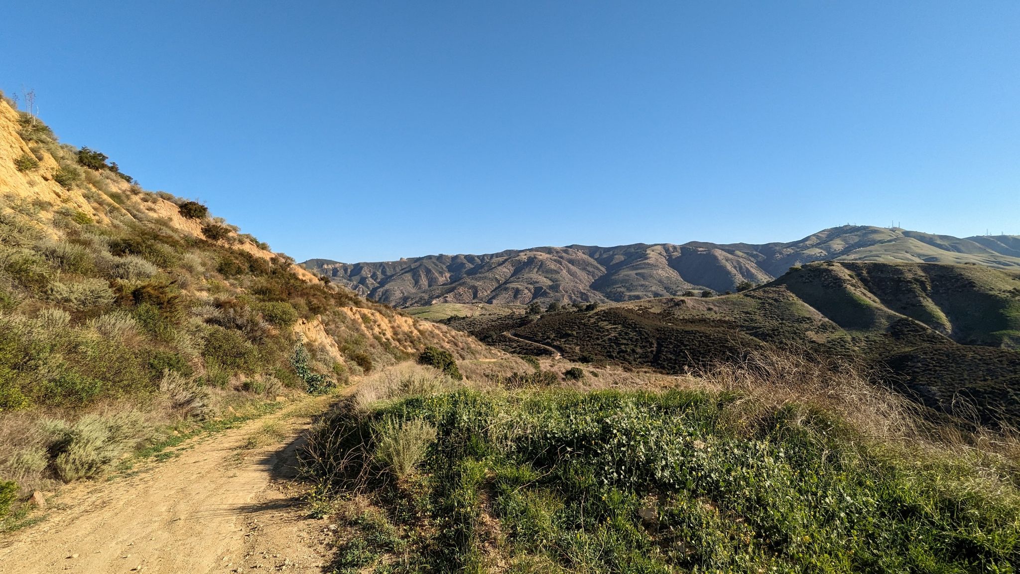 A dirt trail winds through sunny, green and brown rolling hills. - Las Llajas Canyon and Rocky Peak Loop