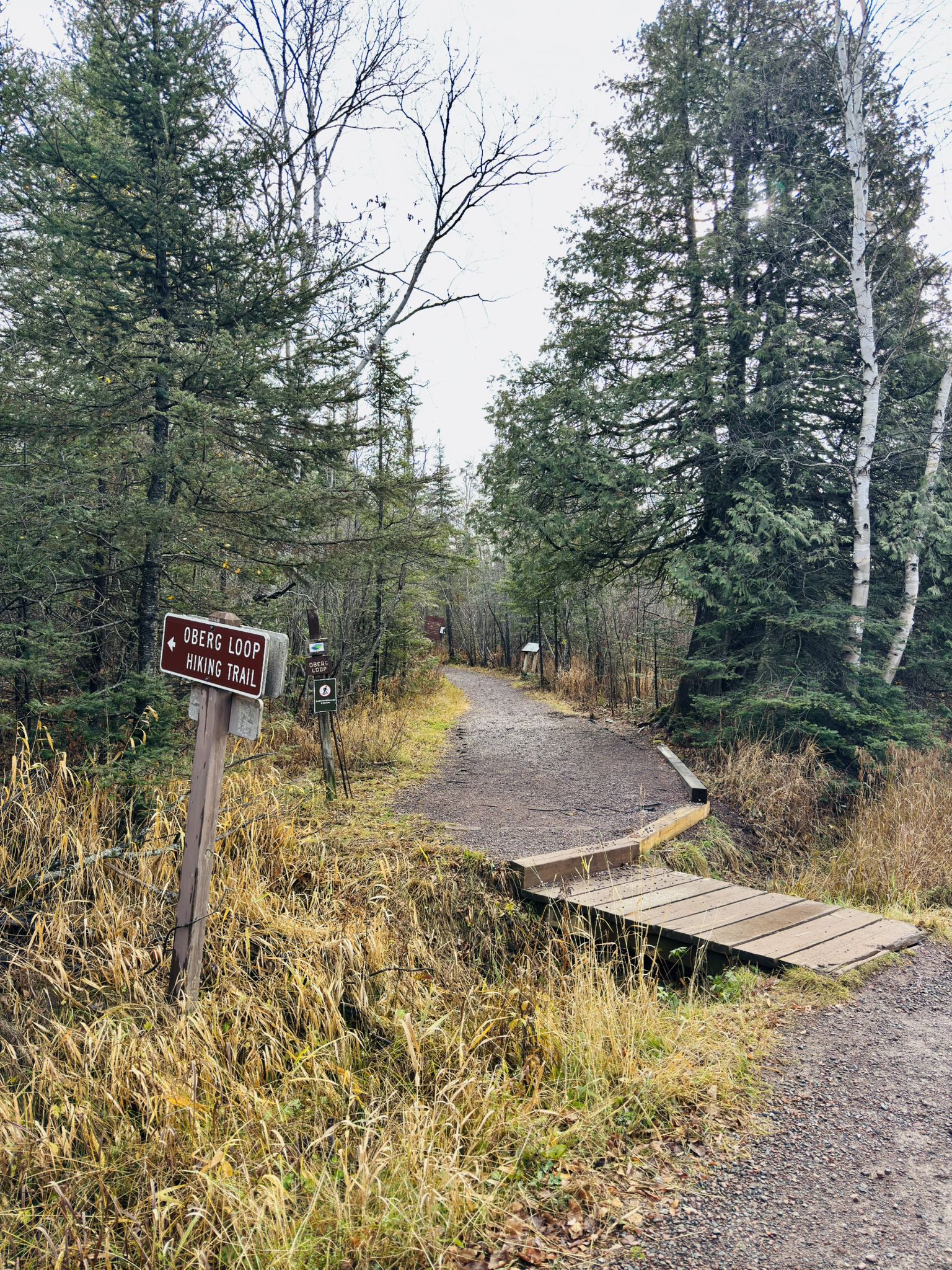 Trail sign and wooden boardwalk on a path in a dense forest. - Bradley Lake loop from Moguls Grille & Tap Room