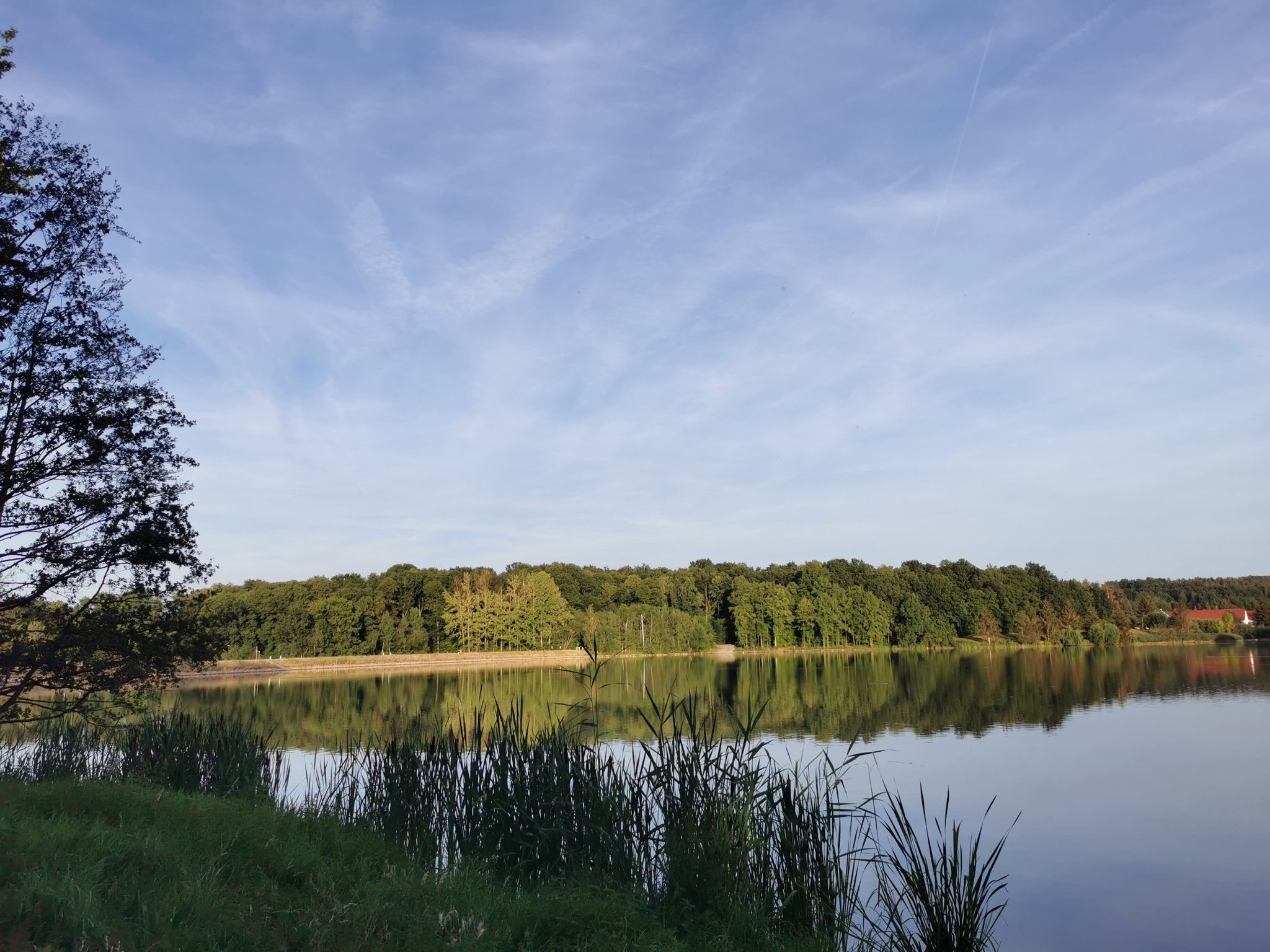 Stausee Brandrübel