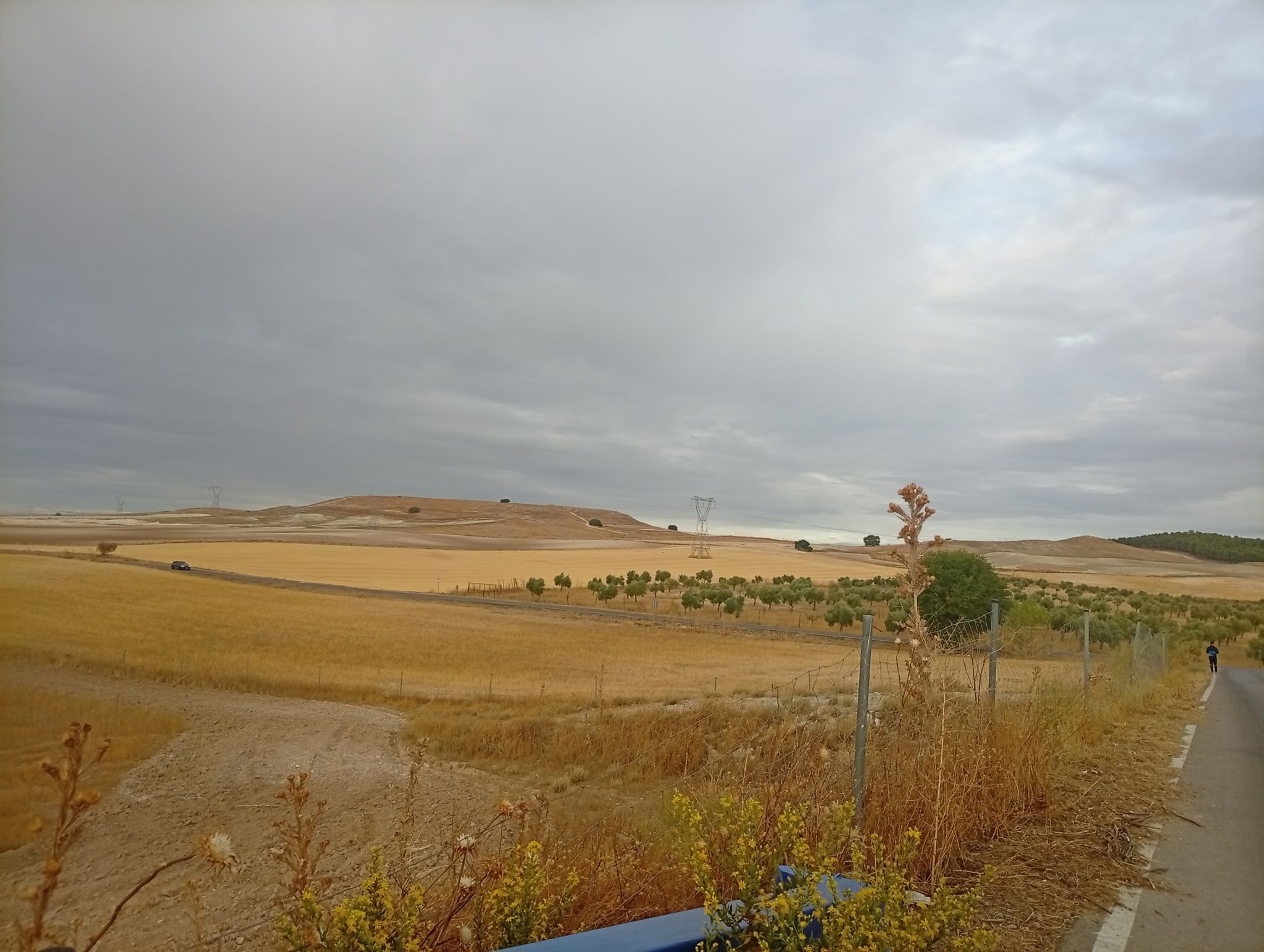 Seseña el quiñón