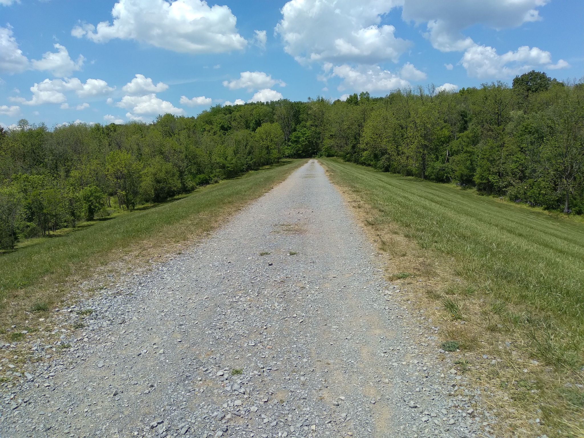 A wide gravel path stretches through green grassy slopes under a bright sky. - Blue Marsh Lake Multi-Use Trail