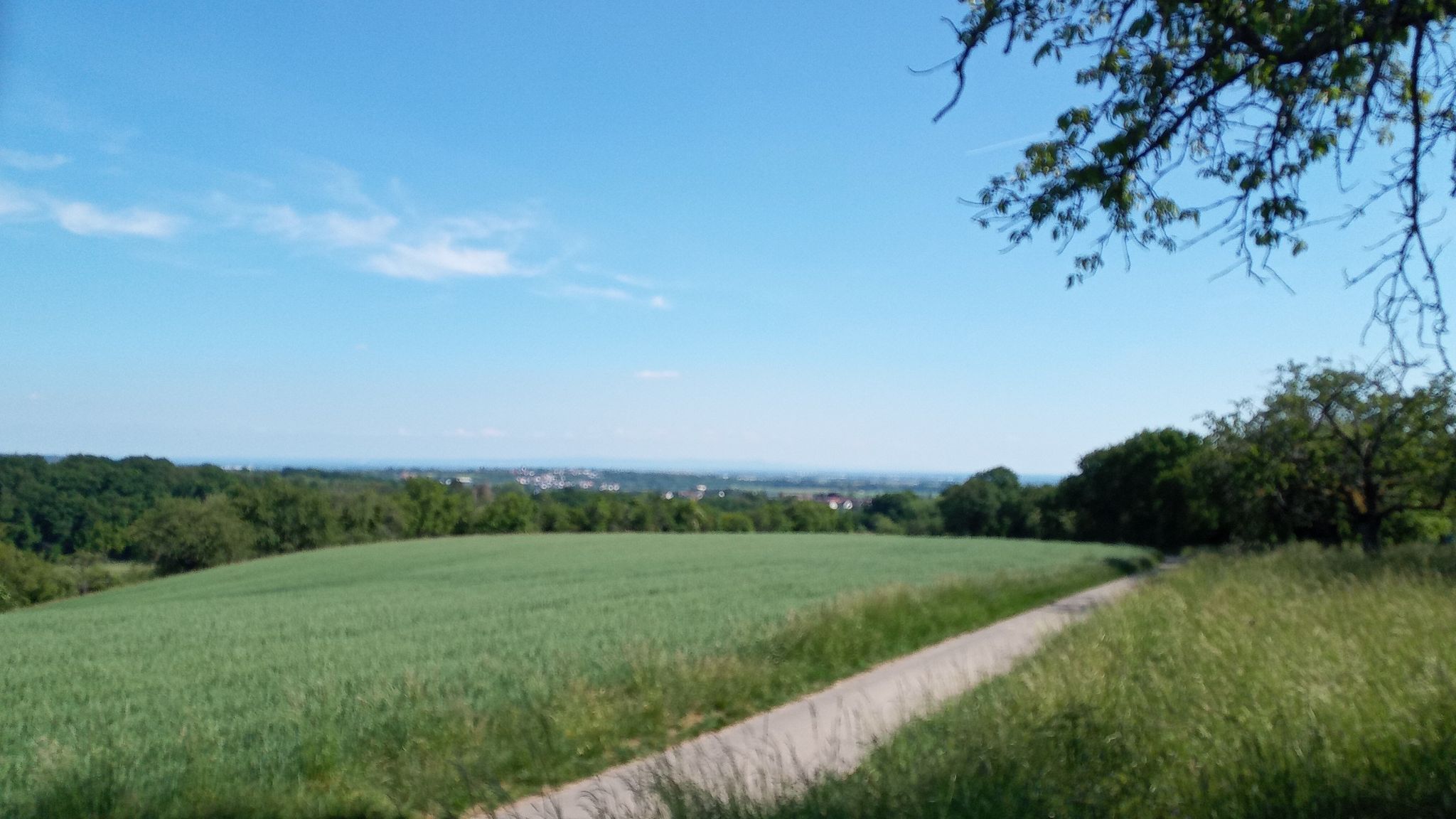 Rhein Main Blick 