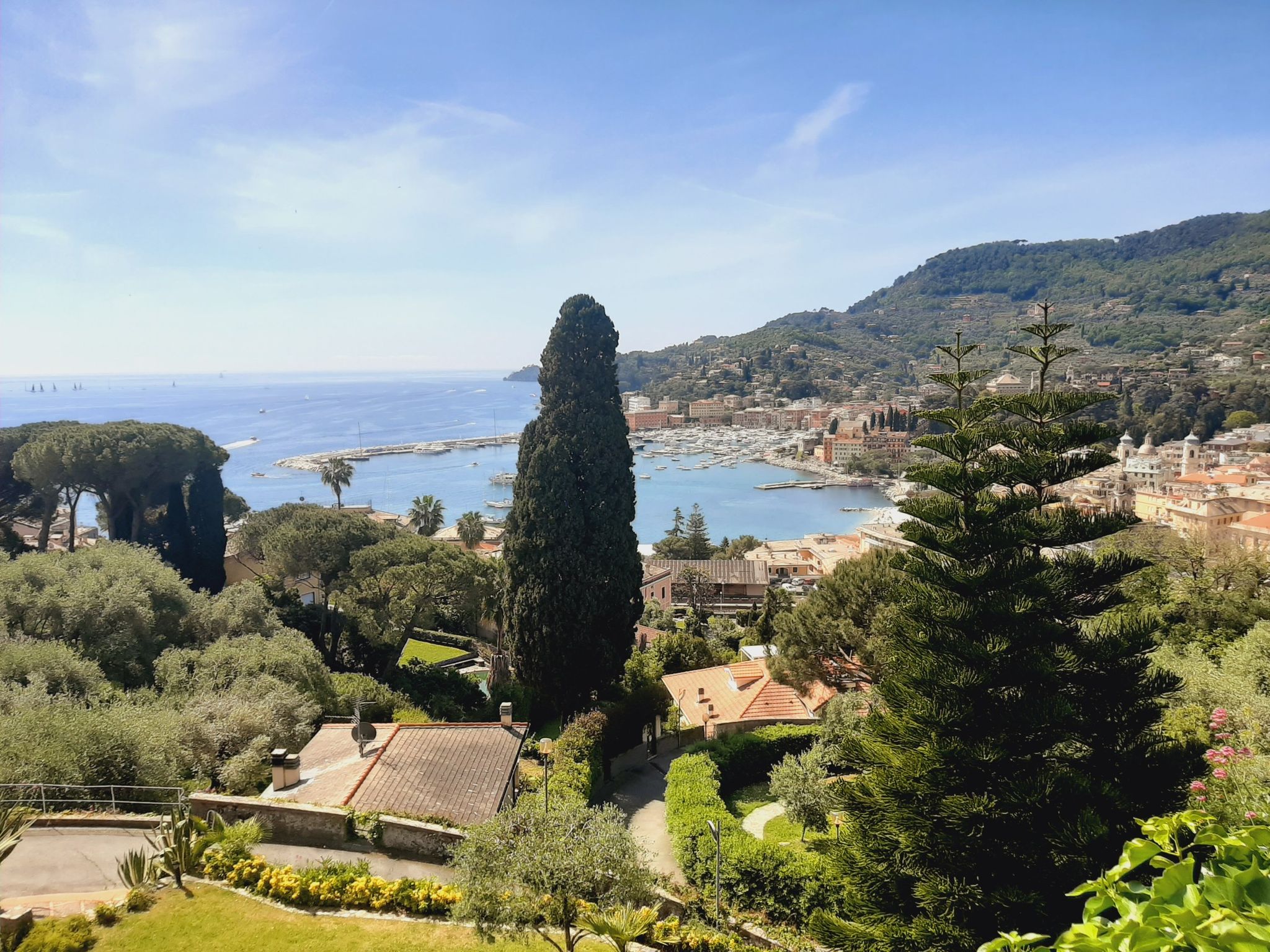 s margherita