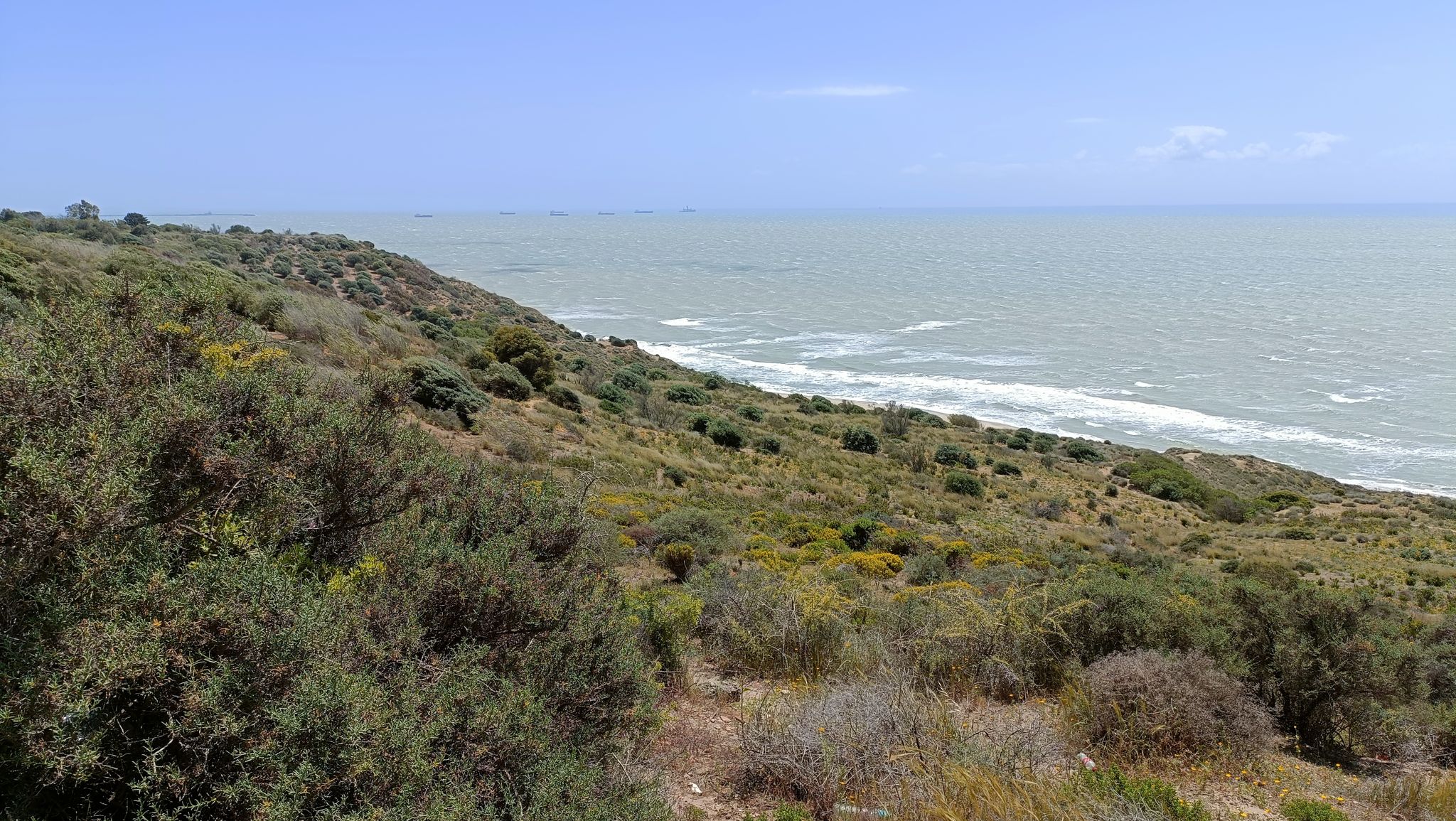 Riserva di Montelungo vicino a Gela