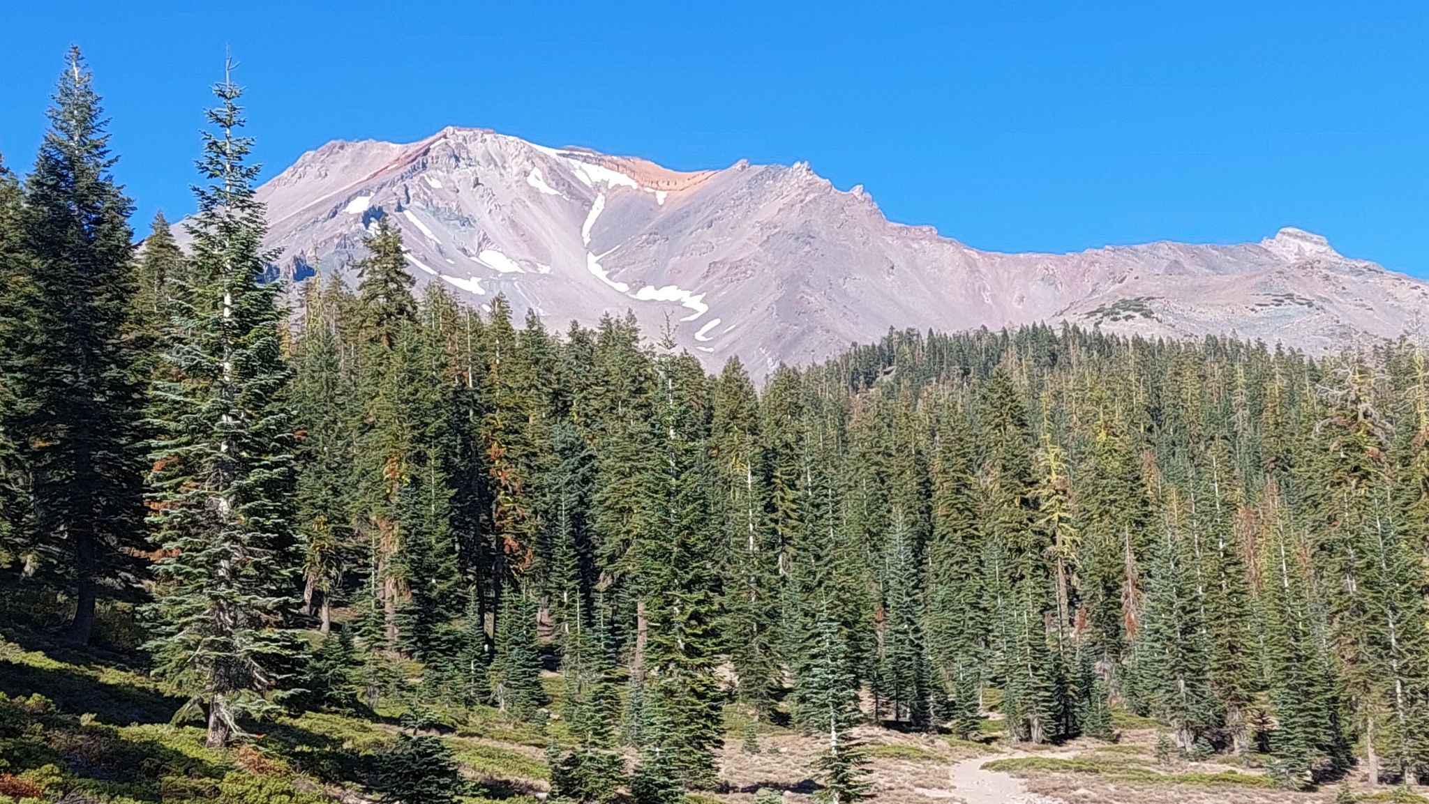 Pine forest slopes lead to a rocky mountain with snow under a clear sky. - Mount Shasta via Avalanche Gulch Route