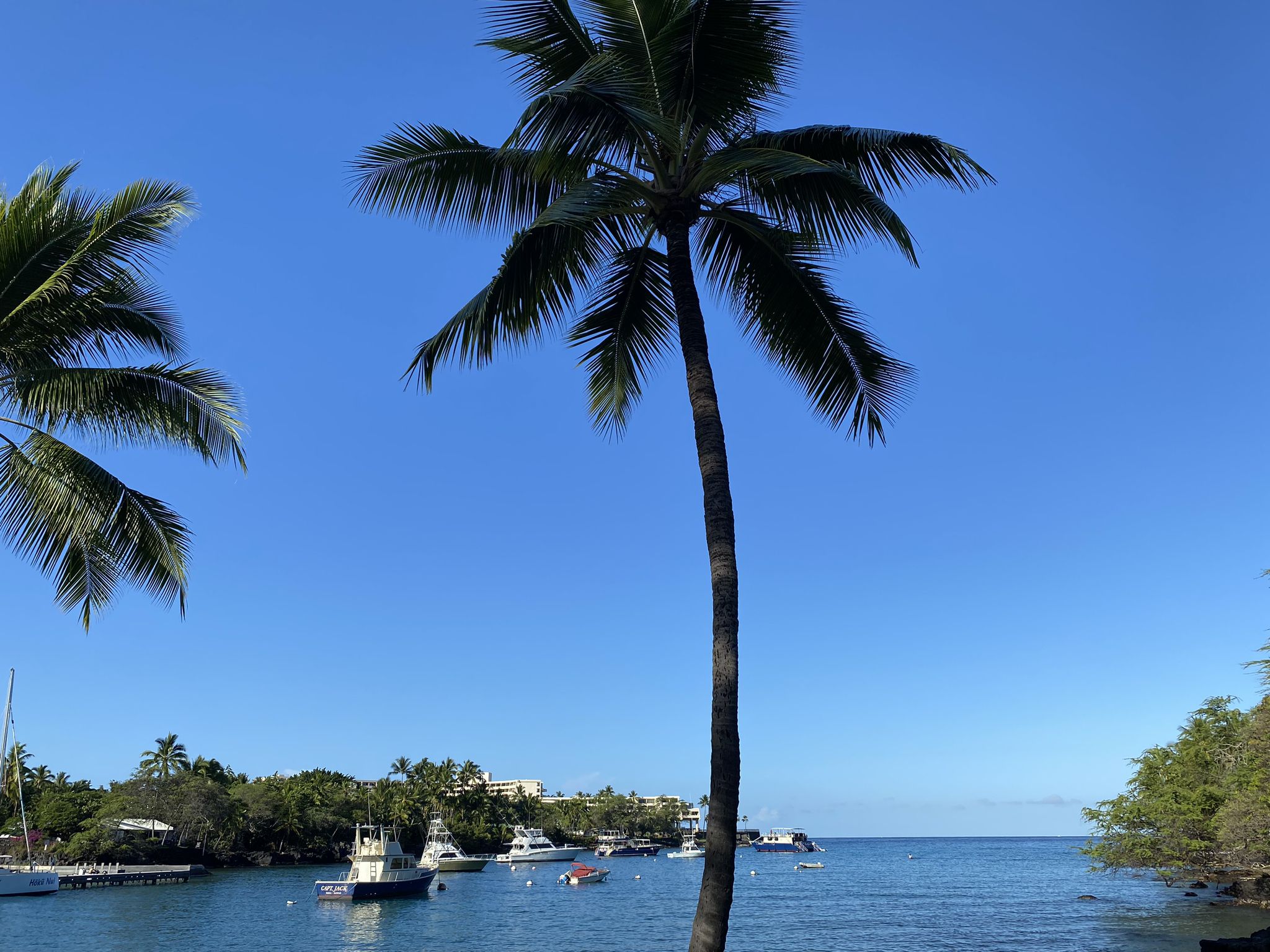 Palm trees frame a sunny bay with boats on clear blue water. - Keauhou to Kahalu‘u loop