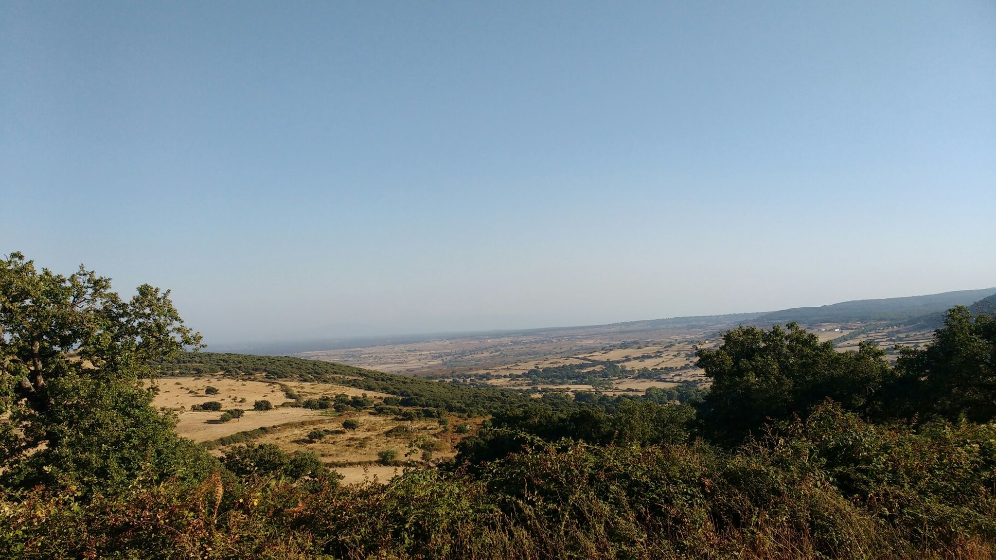 bentornato, Marghine!