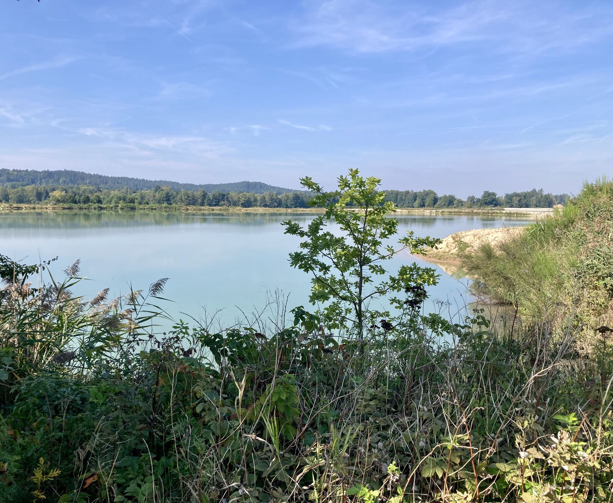 Neuweiher