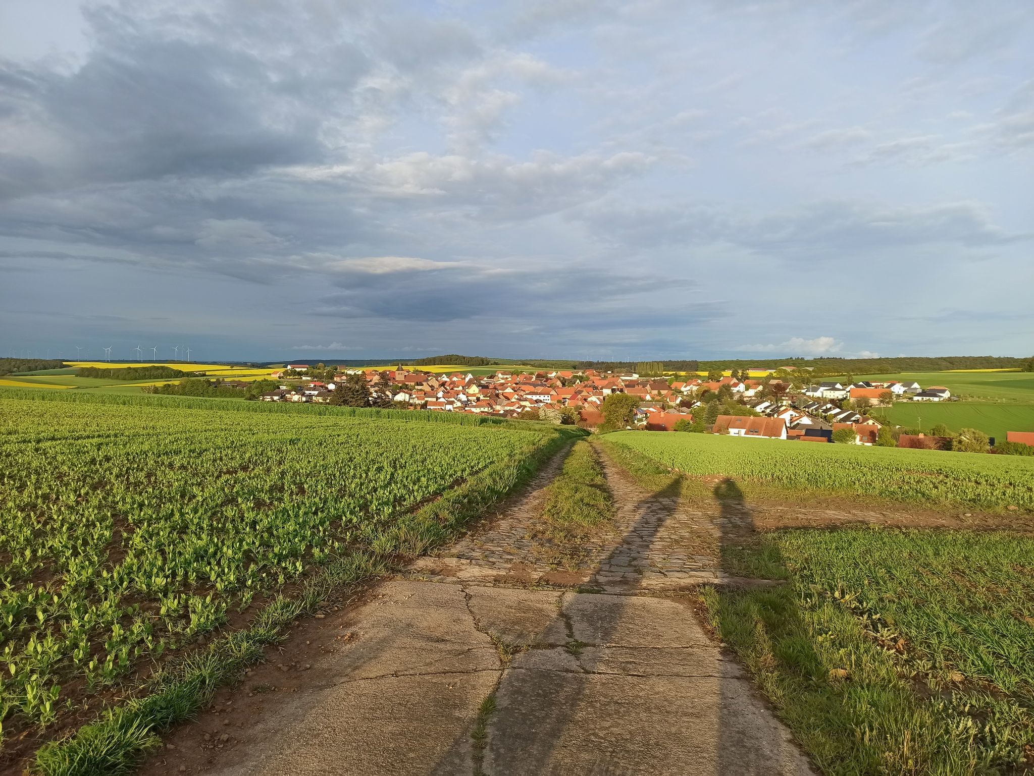 Sonnenberg