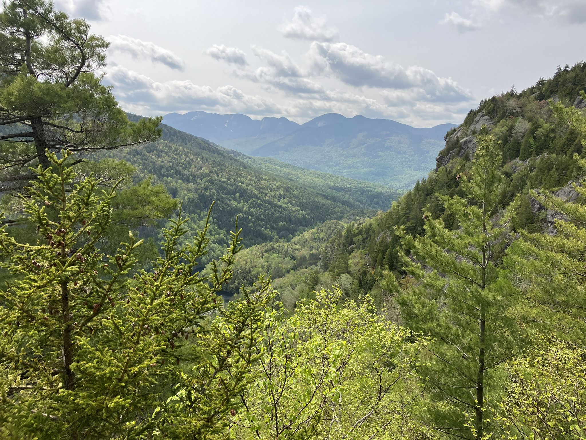 Verdant forested valley and distant mountains under a bright, cloudy sky. - Nubble and Giant Washbowl Loop