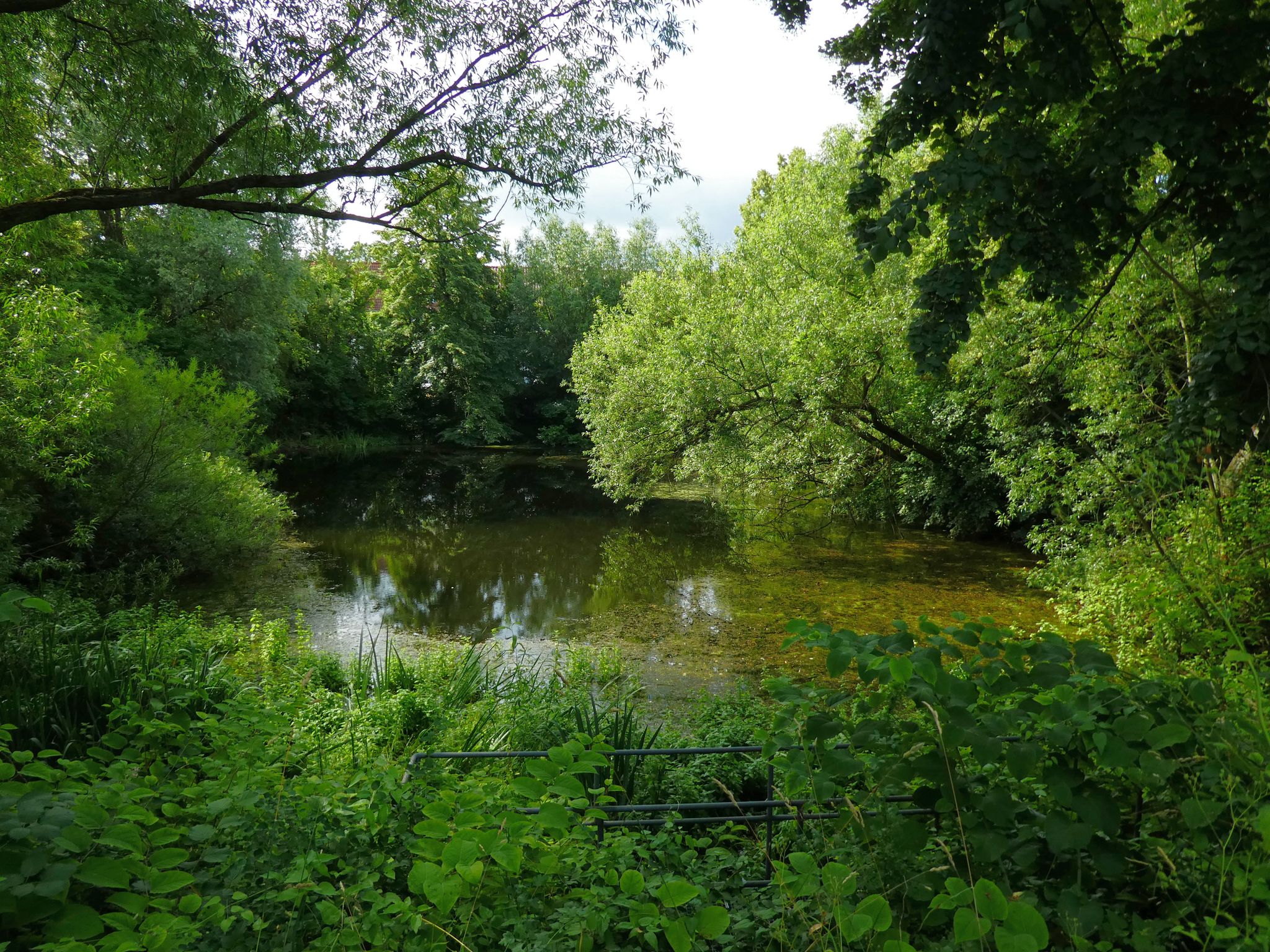 Weiher