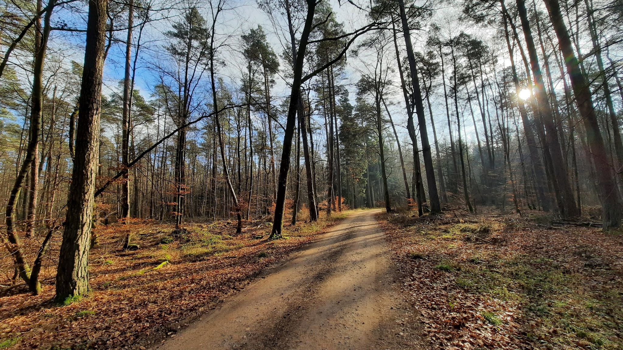 Wanderweg nach Hochspeyer