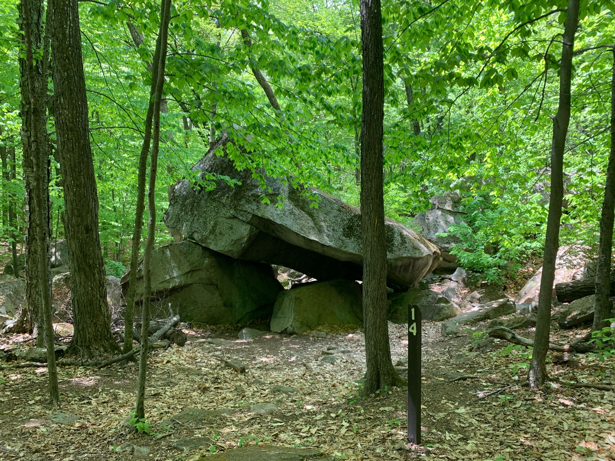 Massive rock formations create a natural shelter in a lush green forest. - Boulder Loop Trail