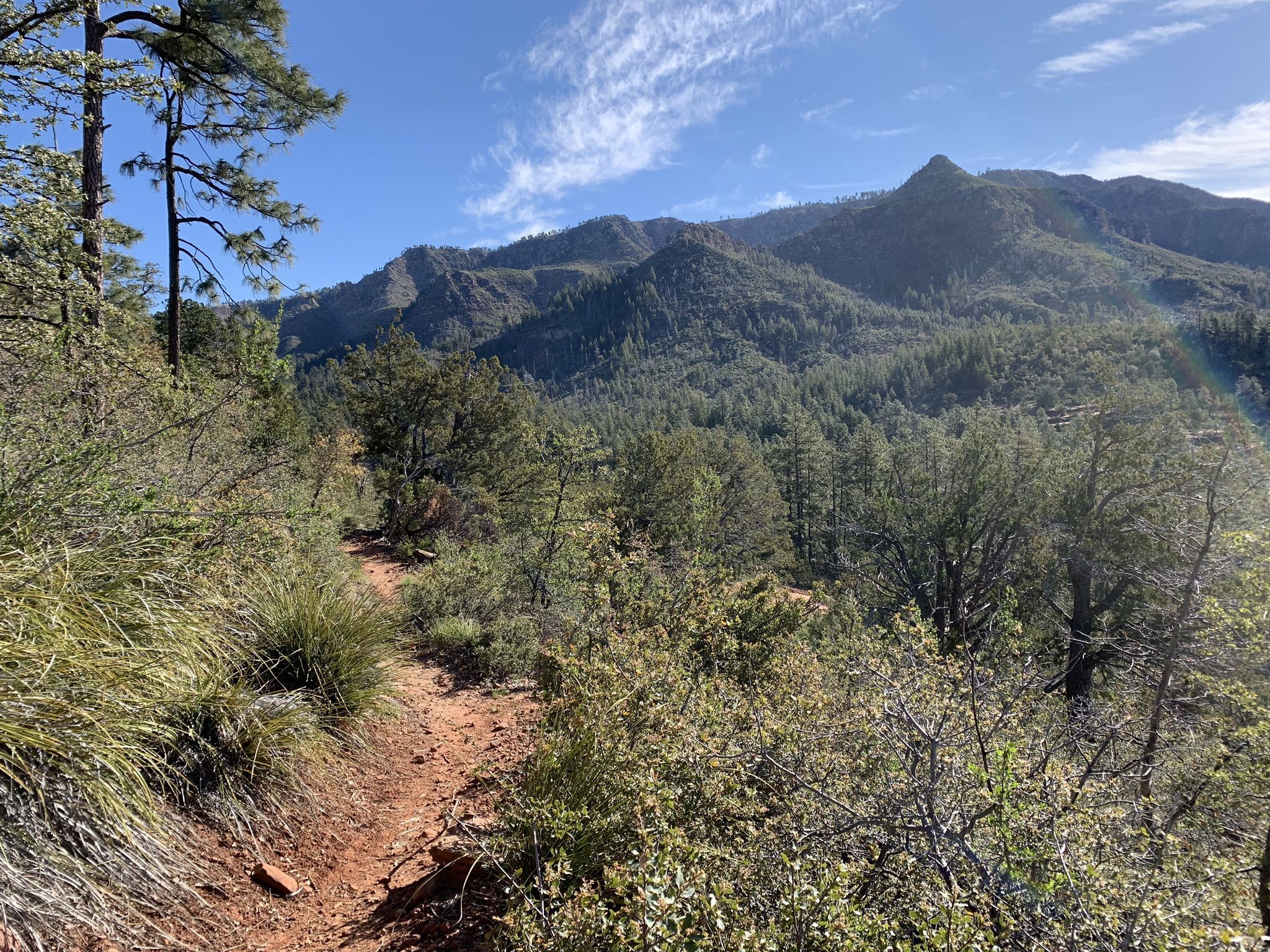 Dirt trail winding through green brush with mountains in background under blue sky. - Arizona Trail: Passage 26 - Highline