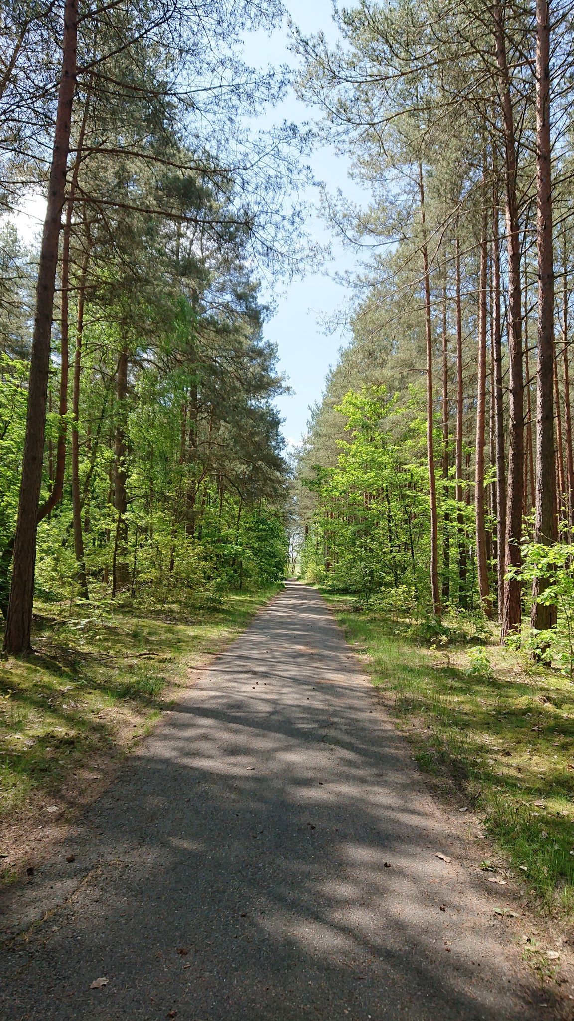 Fahrradstraße 