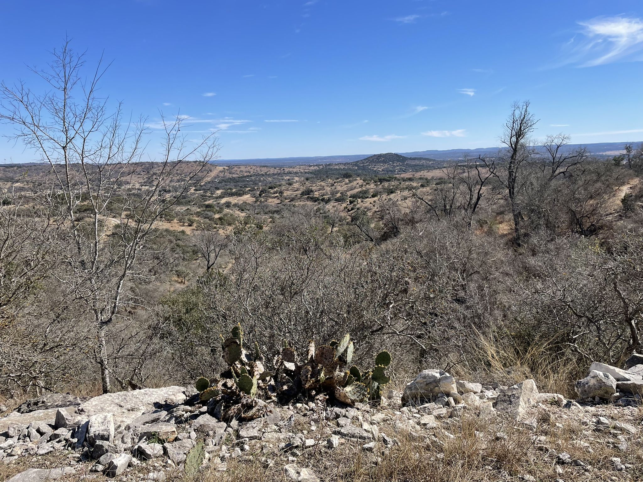 Rocky overlook with cacti, bare trees, and a dry, expansive landscape. - Roadbike loop from Flat Rock Ranch