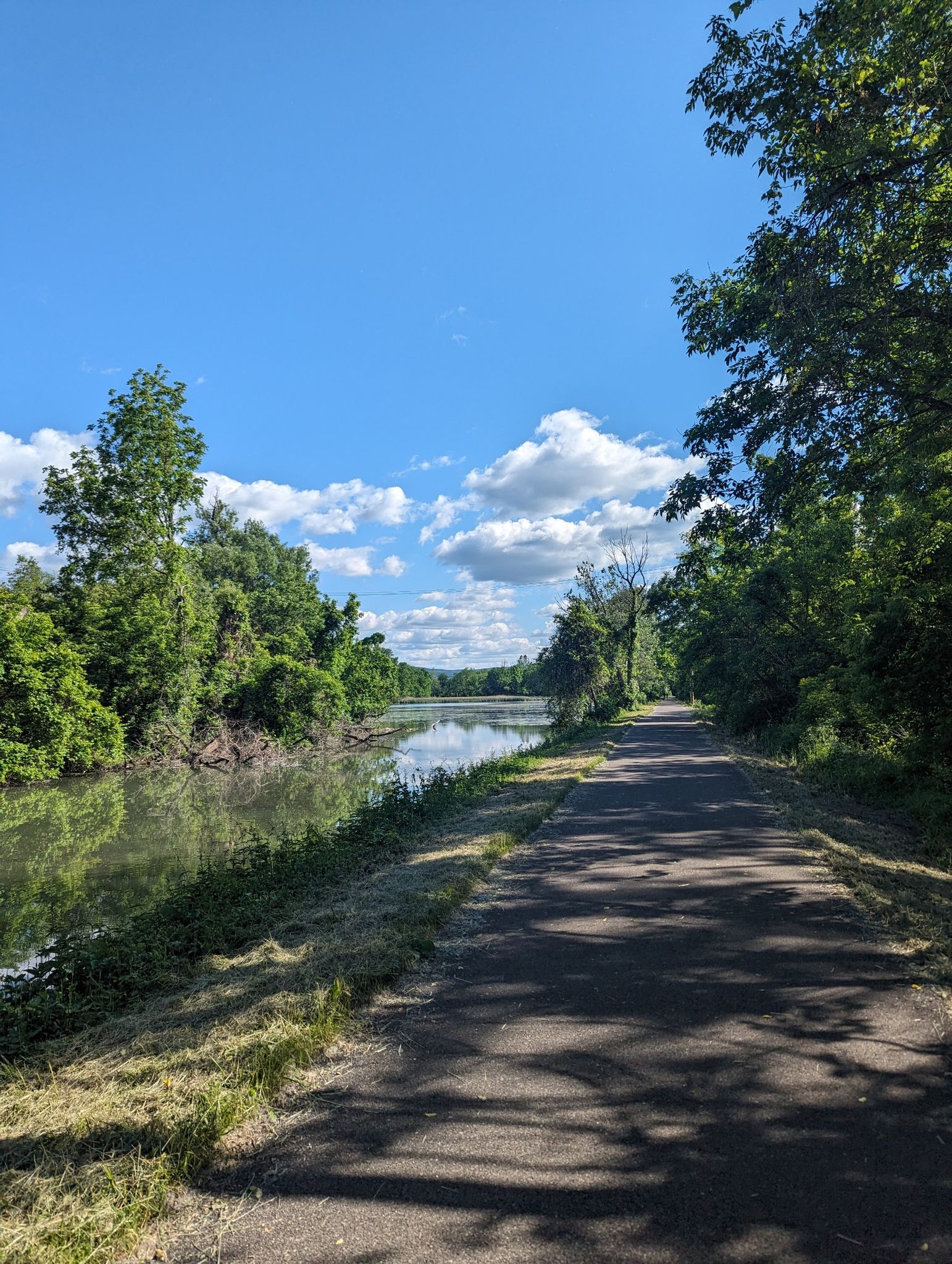 Paved path alongside a river with green trees under a blue sky. - Erie Canalway Trail loop from Village of Fayetteville