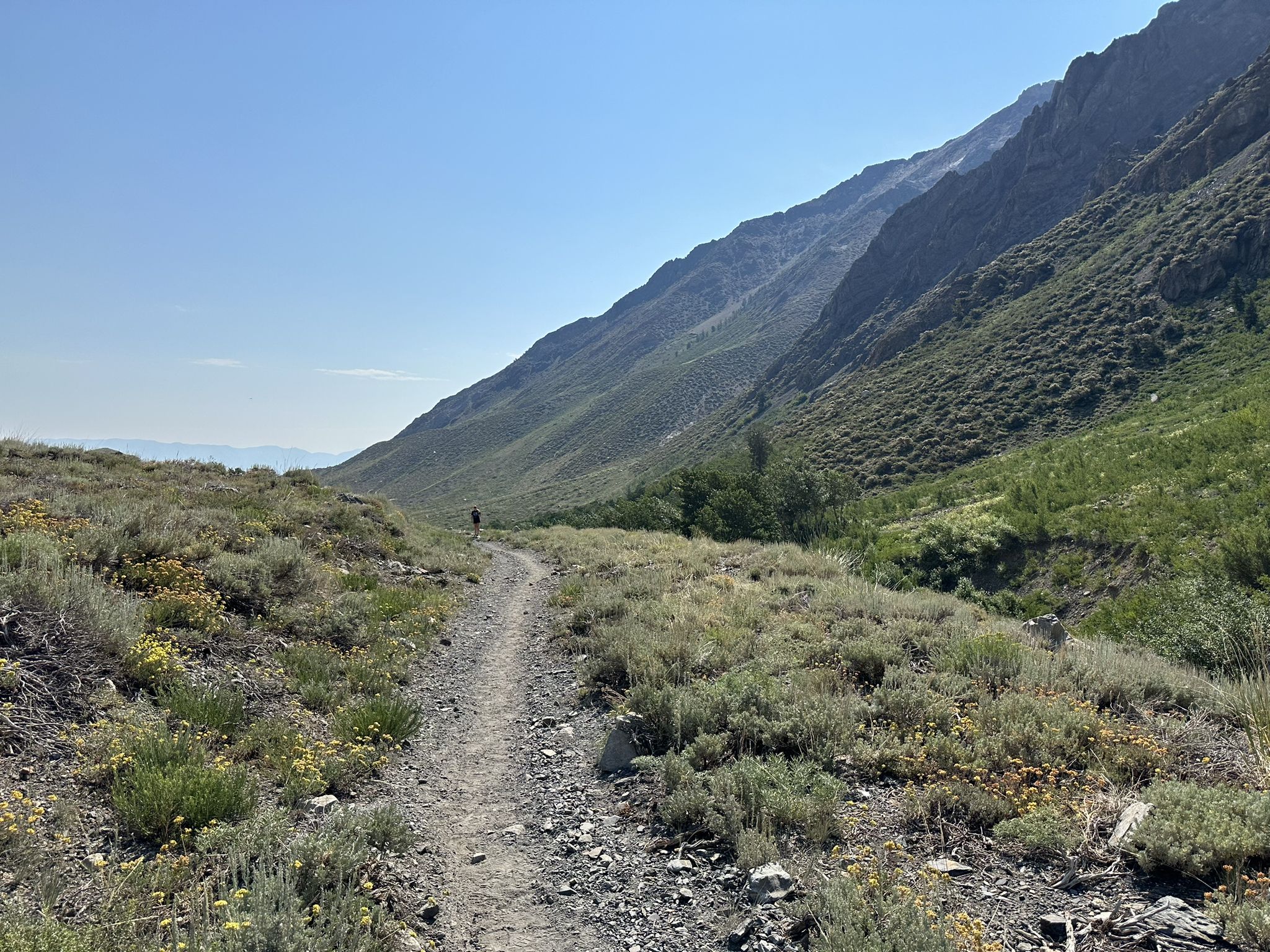 Dirt trail through a green, shrubby valley with a distant hiker and steep slopes. - McGee Creek Trail