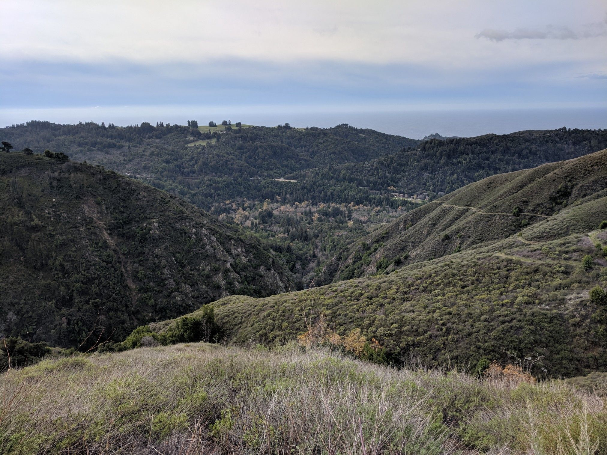 Rolling green hills and valleys with dense trees under a cloudy sky. - Manuel Peak Trail