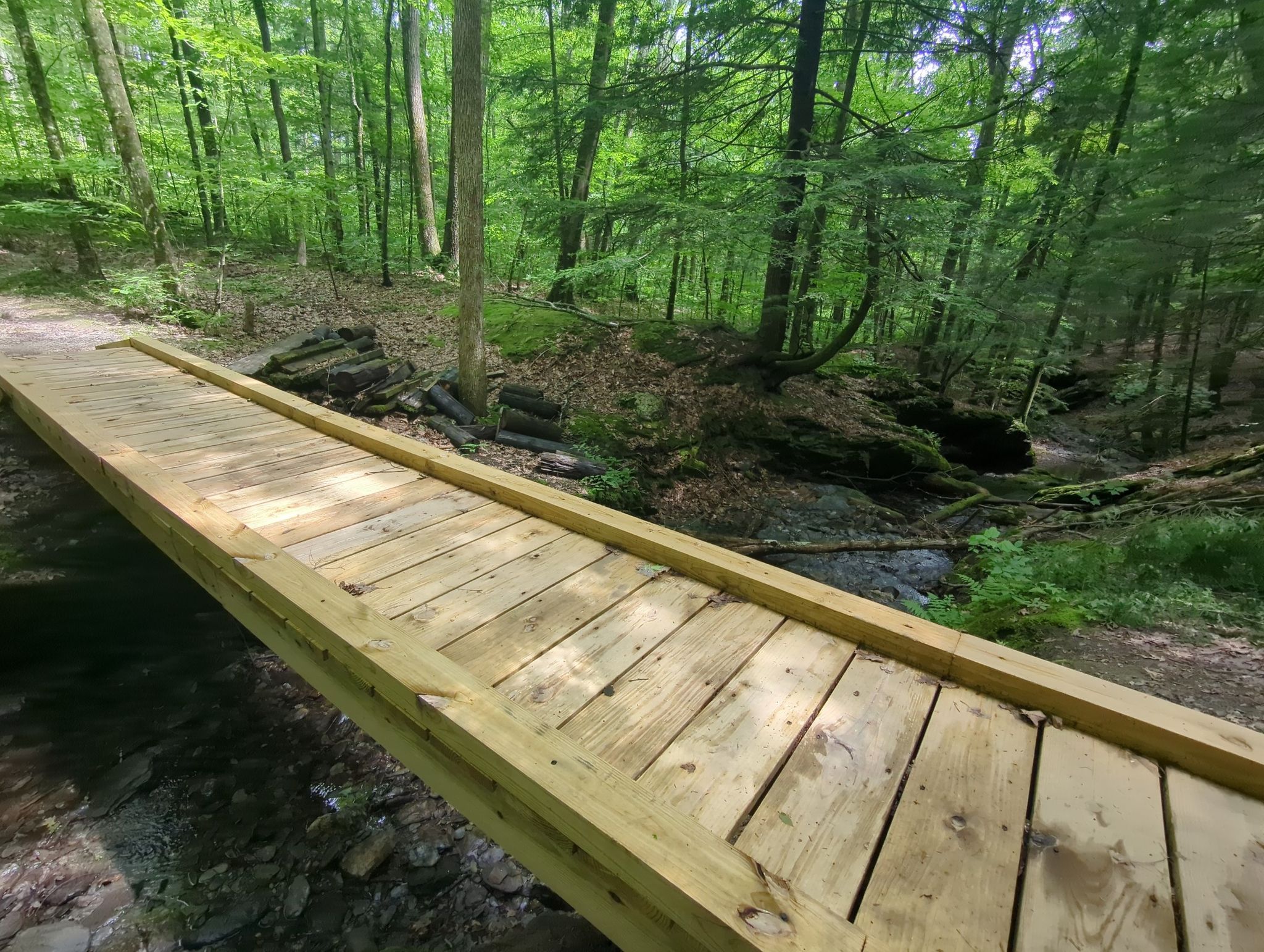 A new wooden footbridge spans a stream in a lush green forest. - Turner Trail