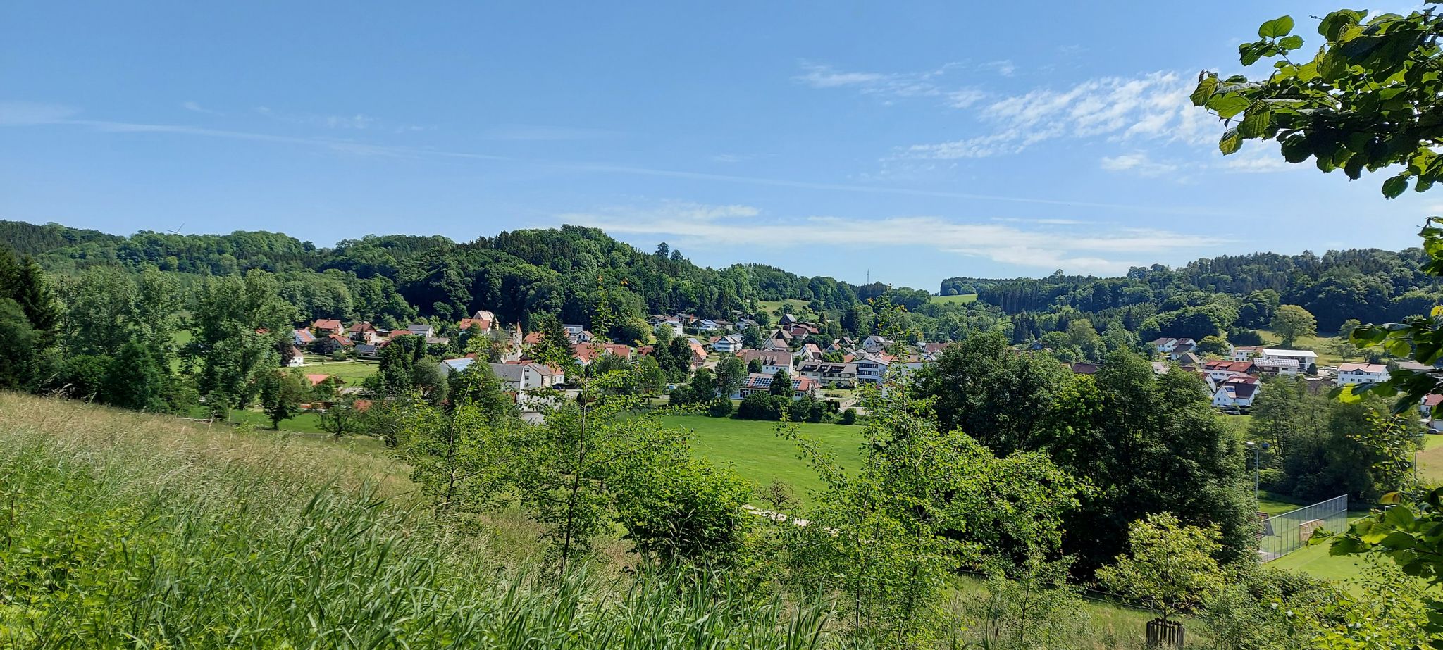 Blick auf Fischen
