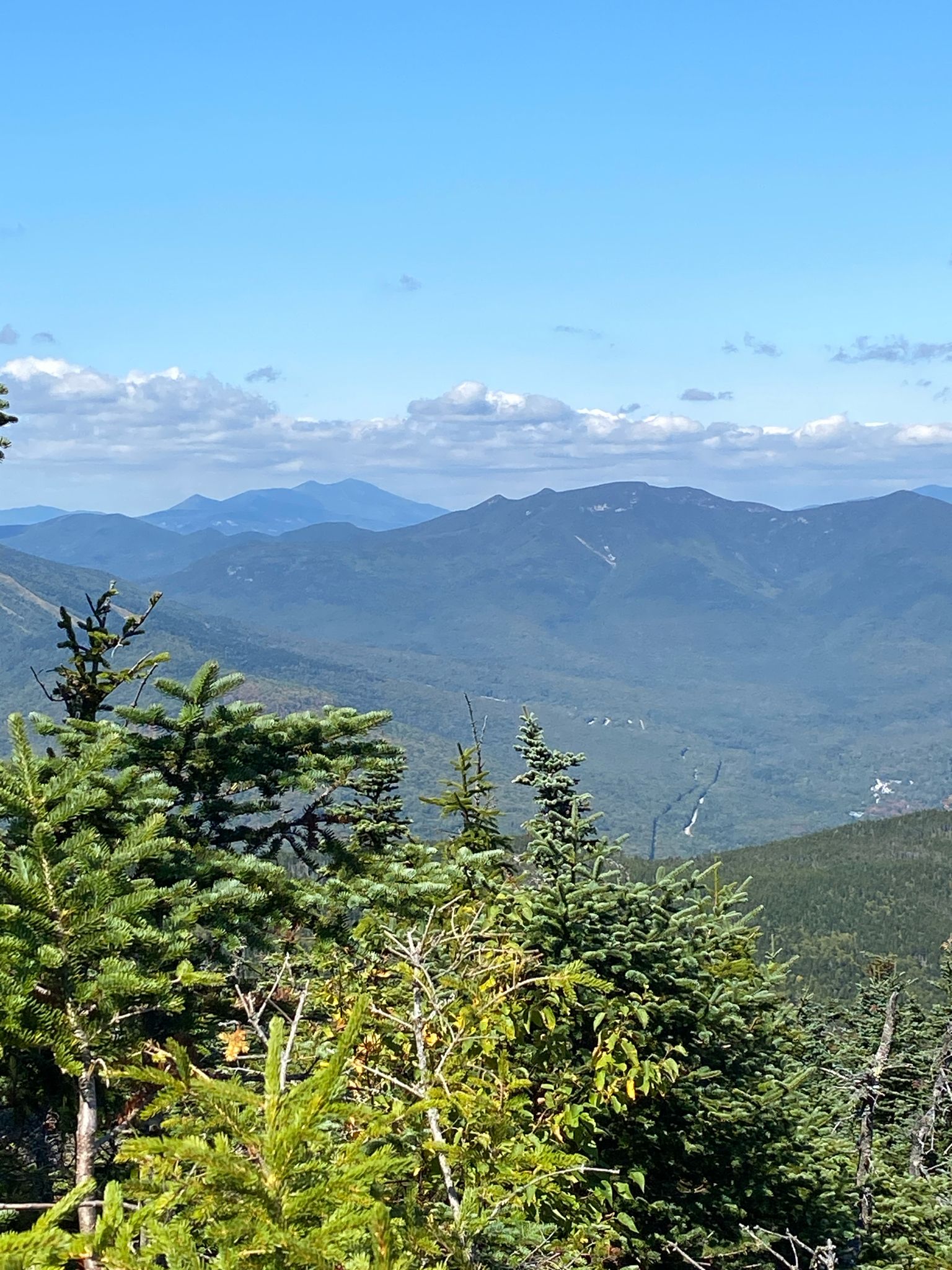 Bright, clear day over distant blue mountains and evergreen trees. - Algonquin Trail