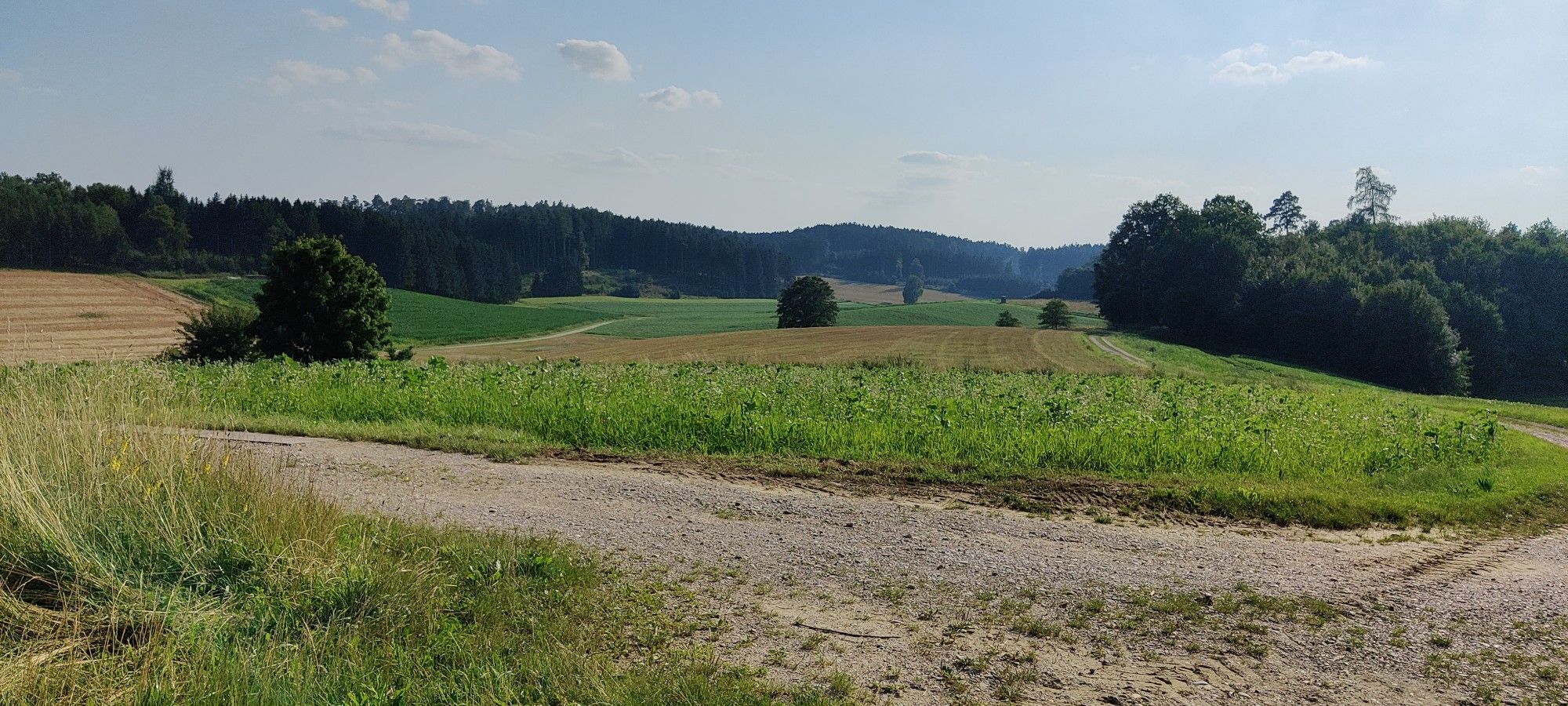 Aichach