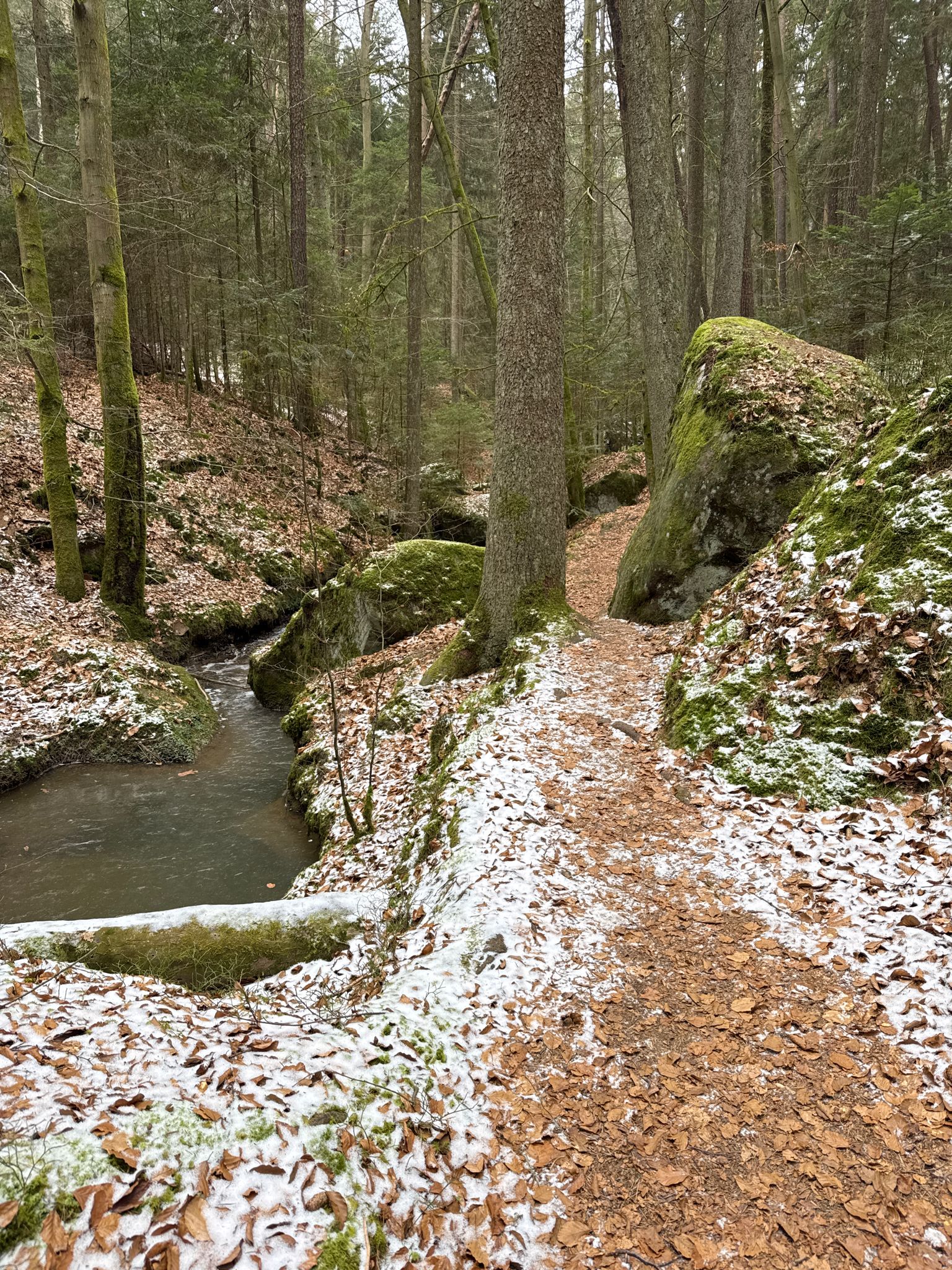In der Rhätsandsteinschlucht Teufelsloch
