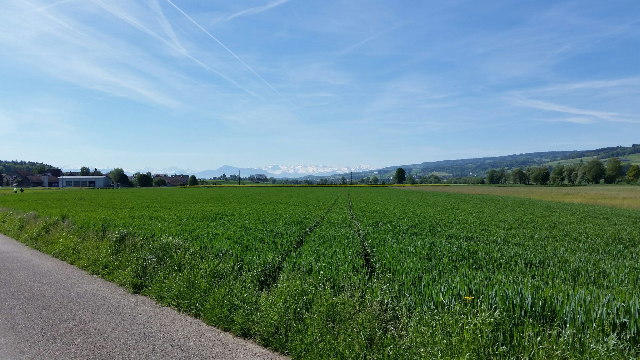 Richtung Muri