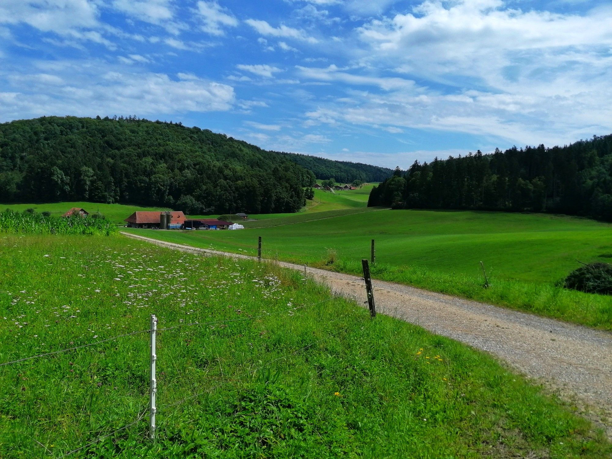 Rüti und Wattwilerhof