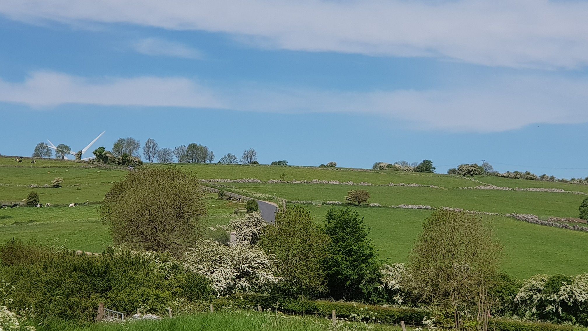 Brassington Lane