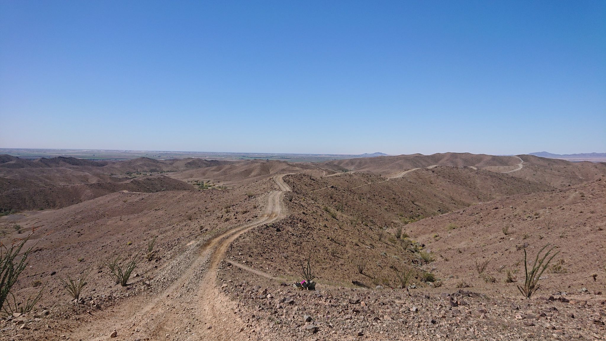A wide dirt road curves through vast, arid desert hills under a clear sky. - Marty's Ridge loop