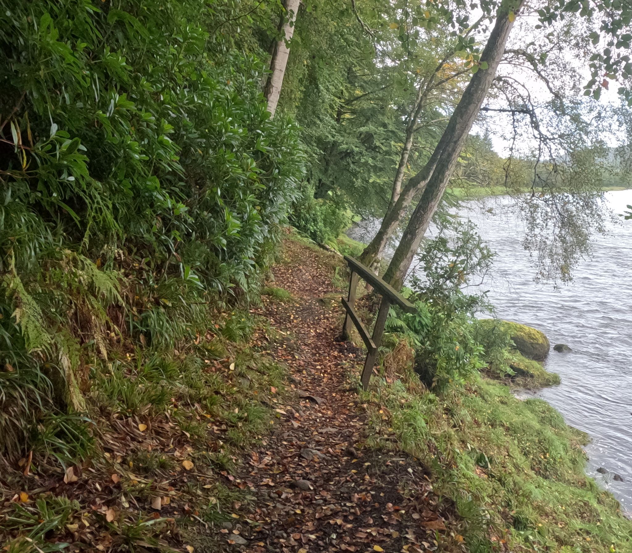 Narrow riverside path