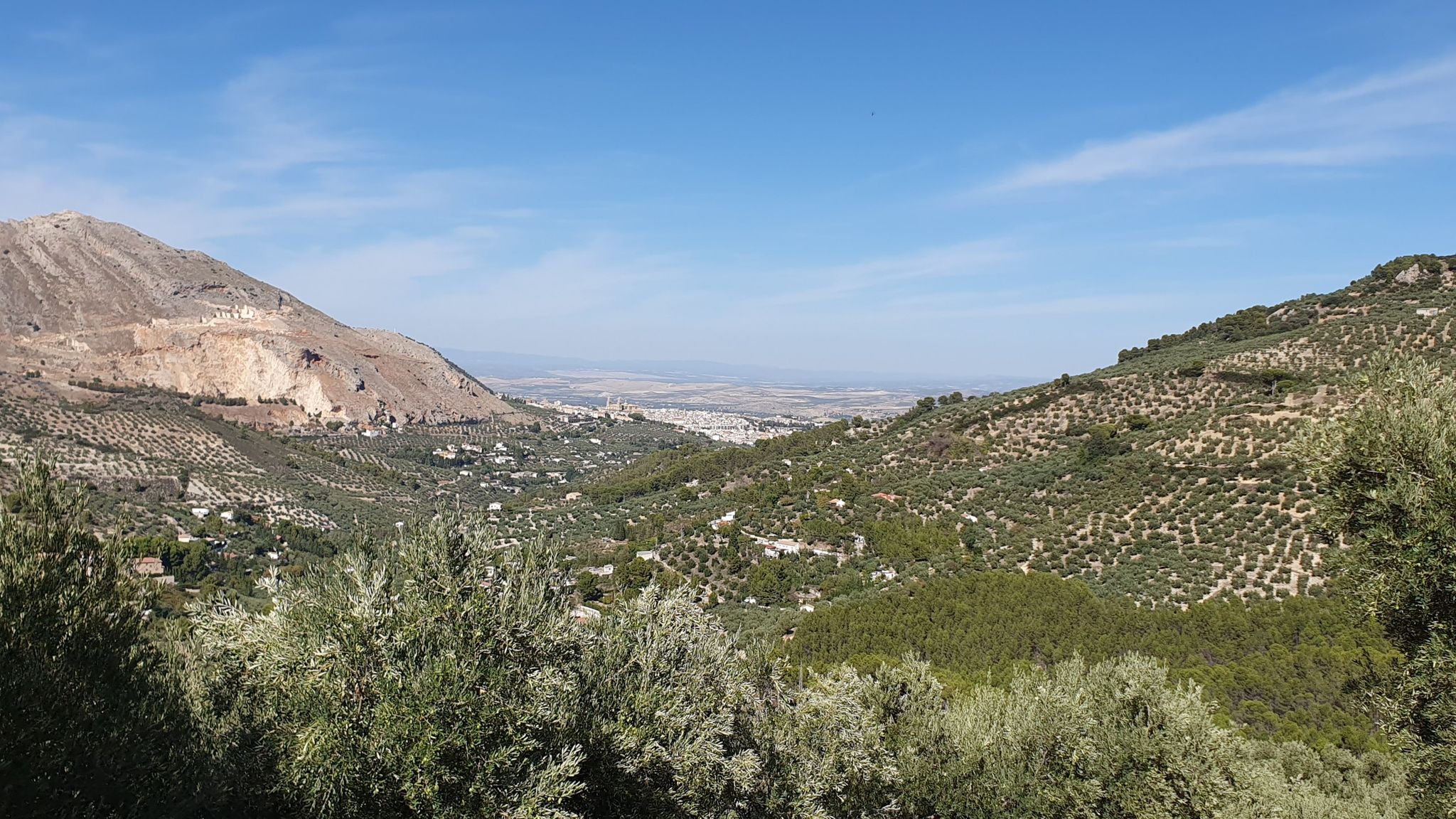 Jaen