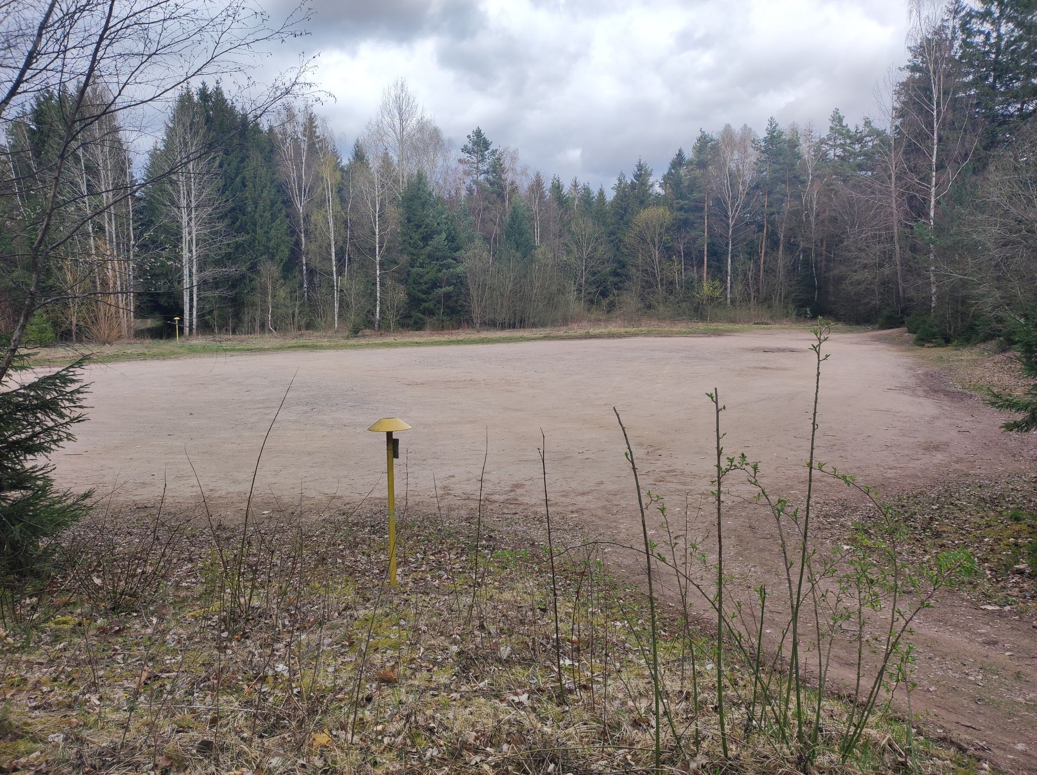 Grüner Platz