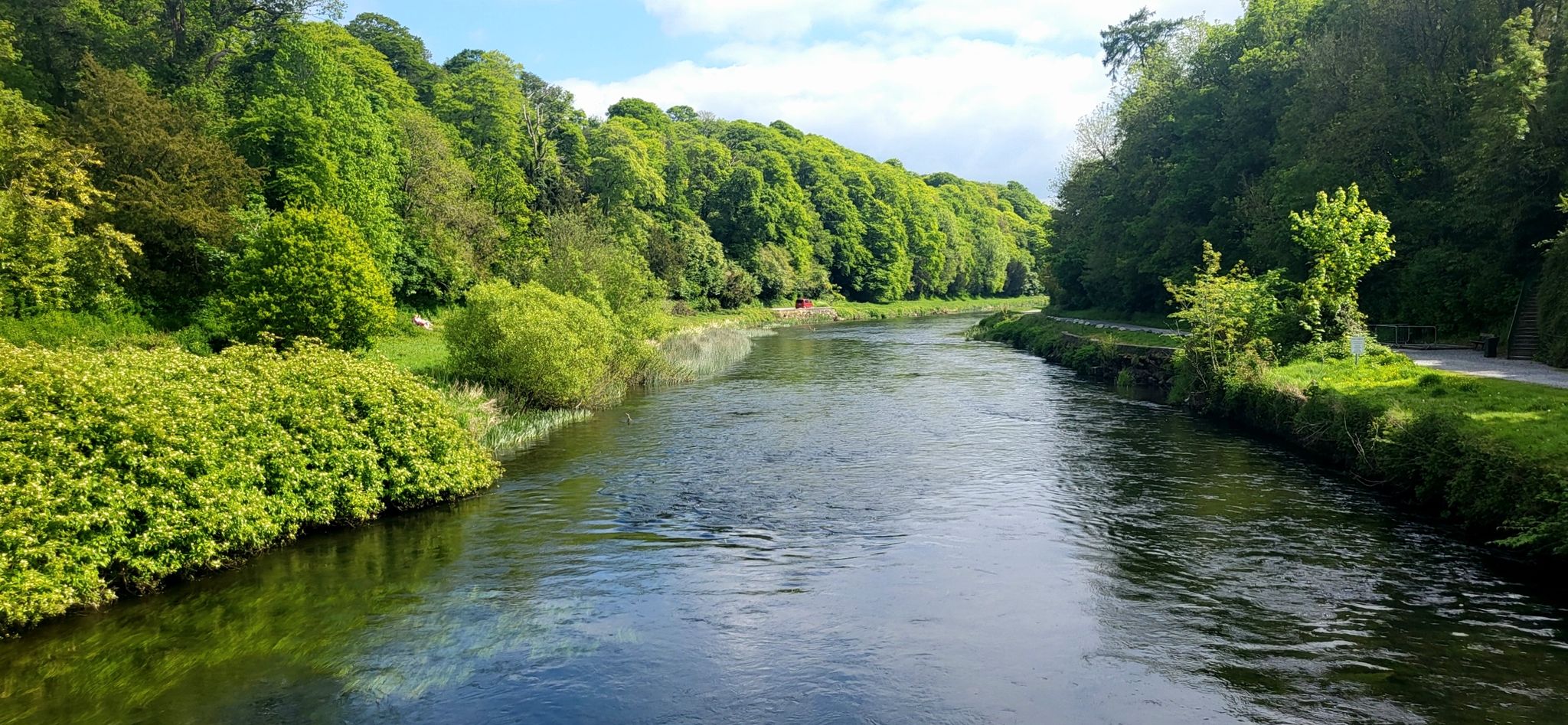 .... dann über den Suir-Fluss....