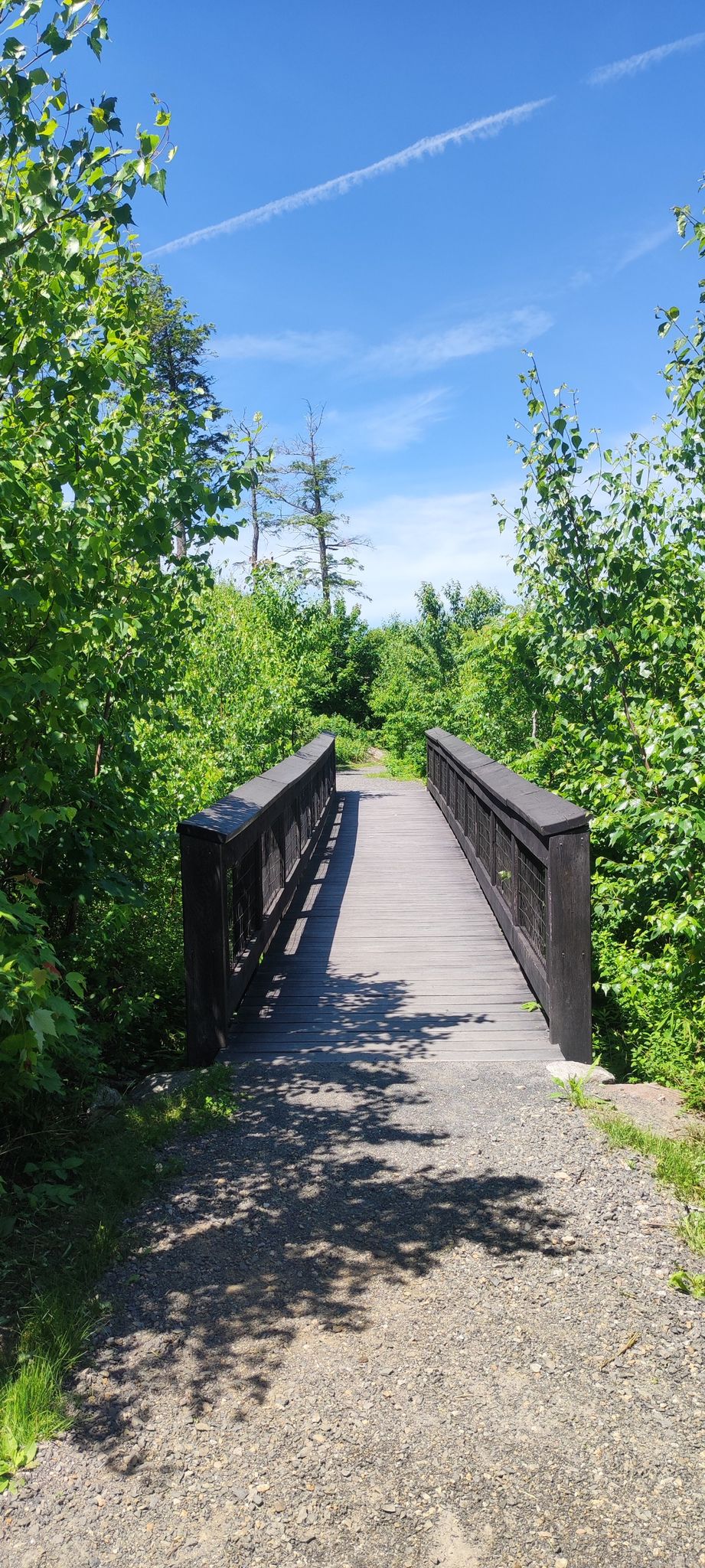 A wooden bridge on a gravel path through green trees under a blue sky. - Porcupine Trail, Notch Trail, and Cedar Trail Loop
