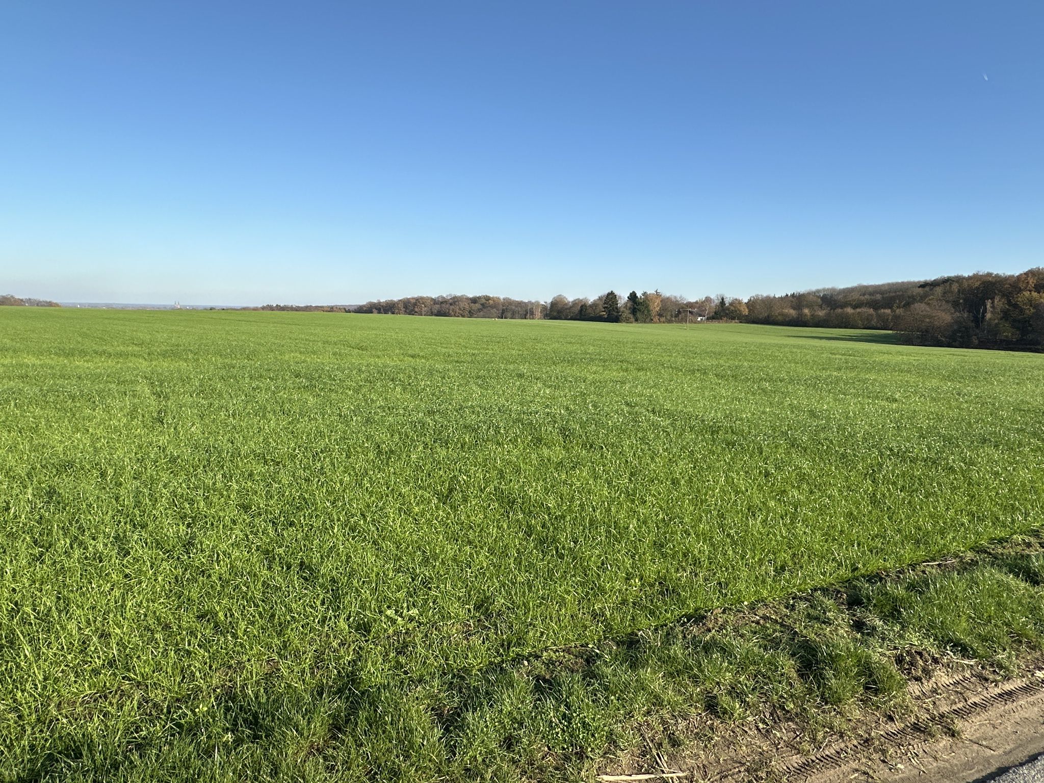 Die hügelige Landschaft der Sonsbecker Schweiz