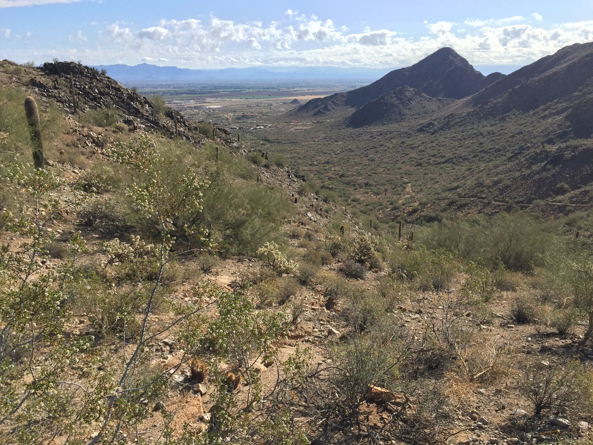 Expansive desert valley with distant mountains under a partly cloudy sky. - Dynamite and Goldmine Trail Loop