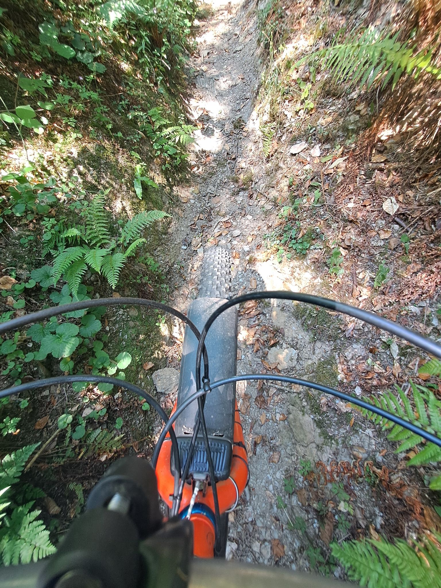 remount 1