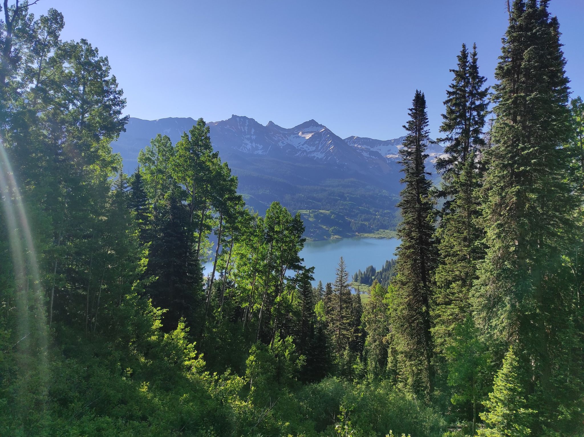 Sunny view through tall pine trees of a blue lake and distant mountains. - Wilson Meadows Trail