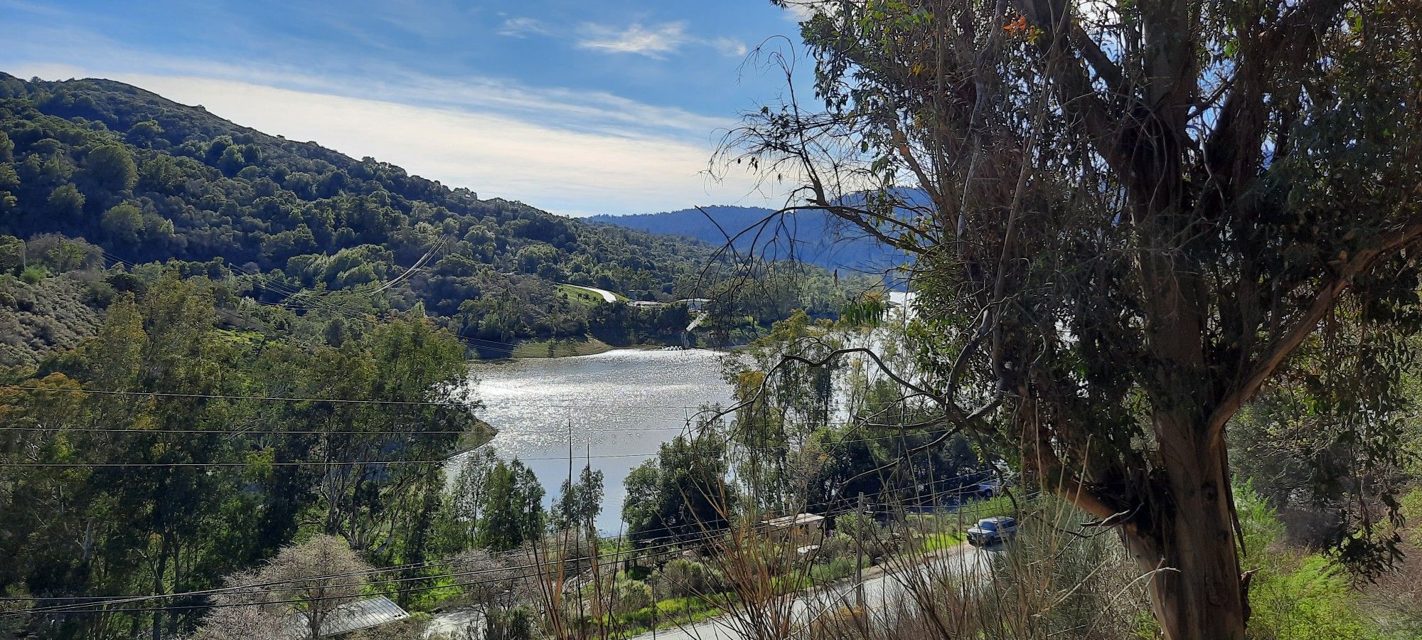 Sunny lake and forested hills, with trees in the foreground. - Los Gatos Creek and Jones Trail Loop