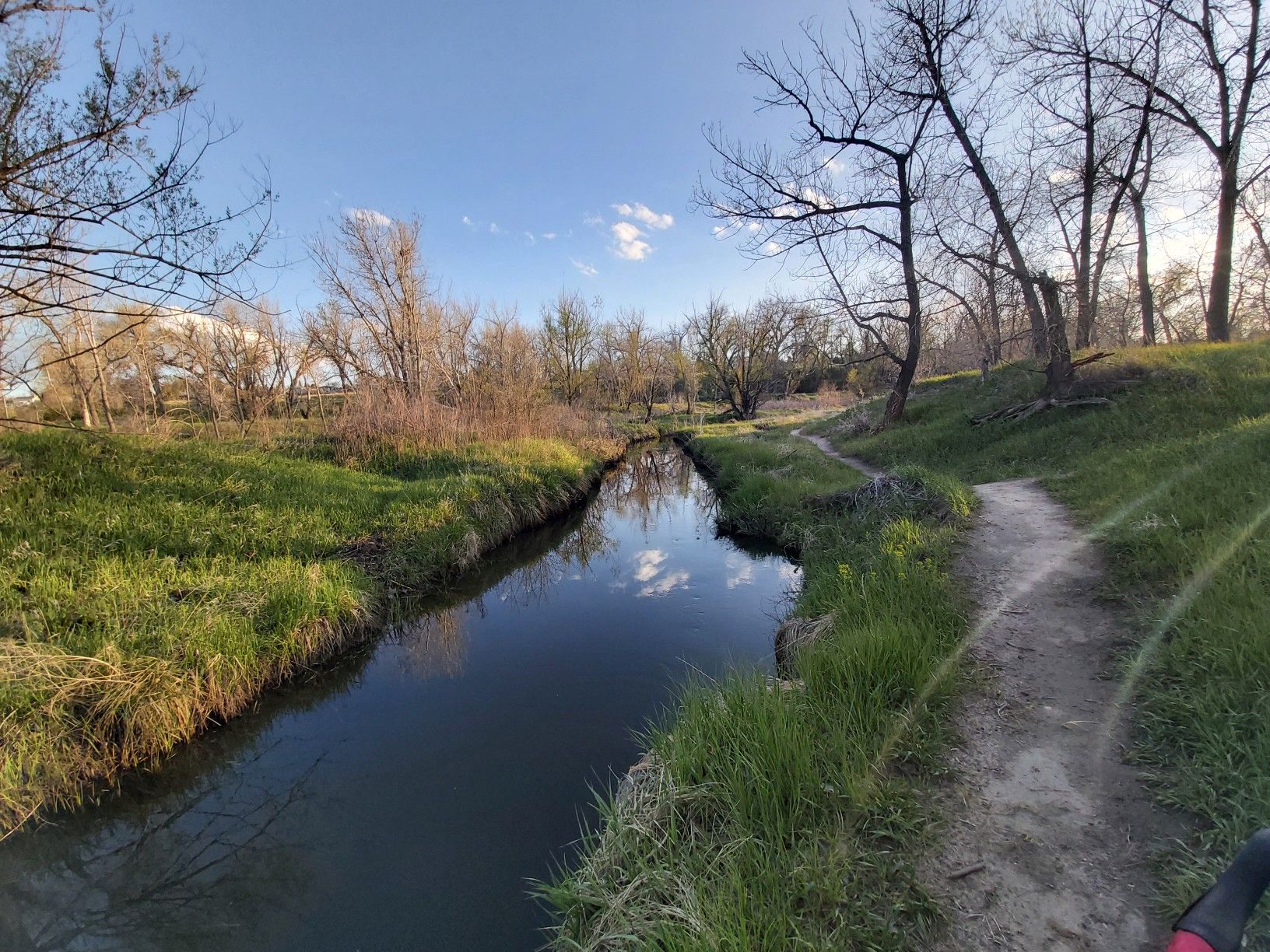 Narrow stream alongside a dirt path with green banks and bare trees. - High Line Canal and Sand Creek Greenway Loop
