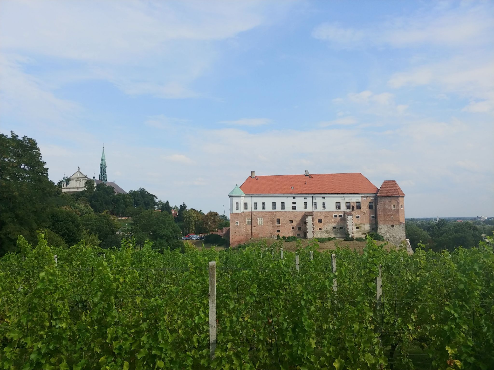 Zamek w Sandomierzu